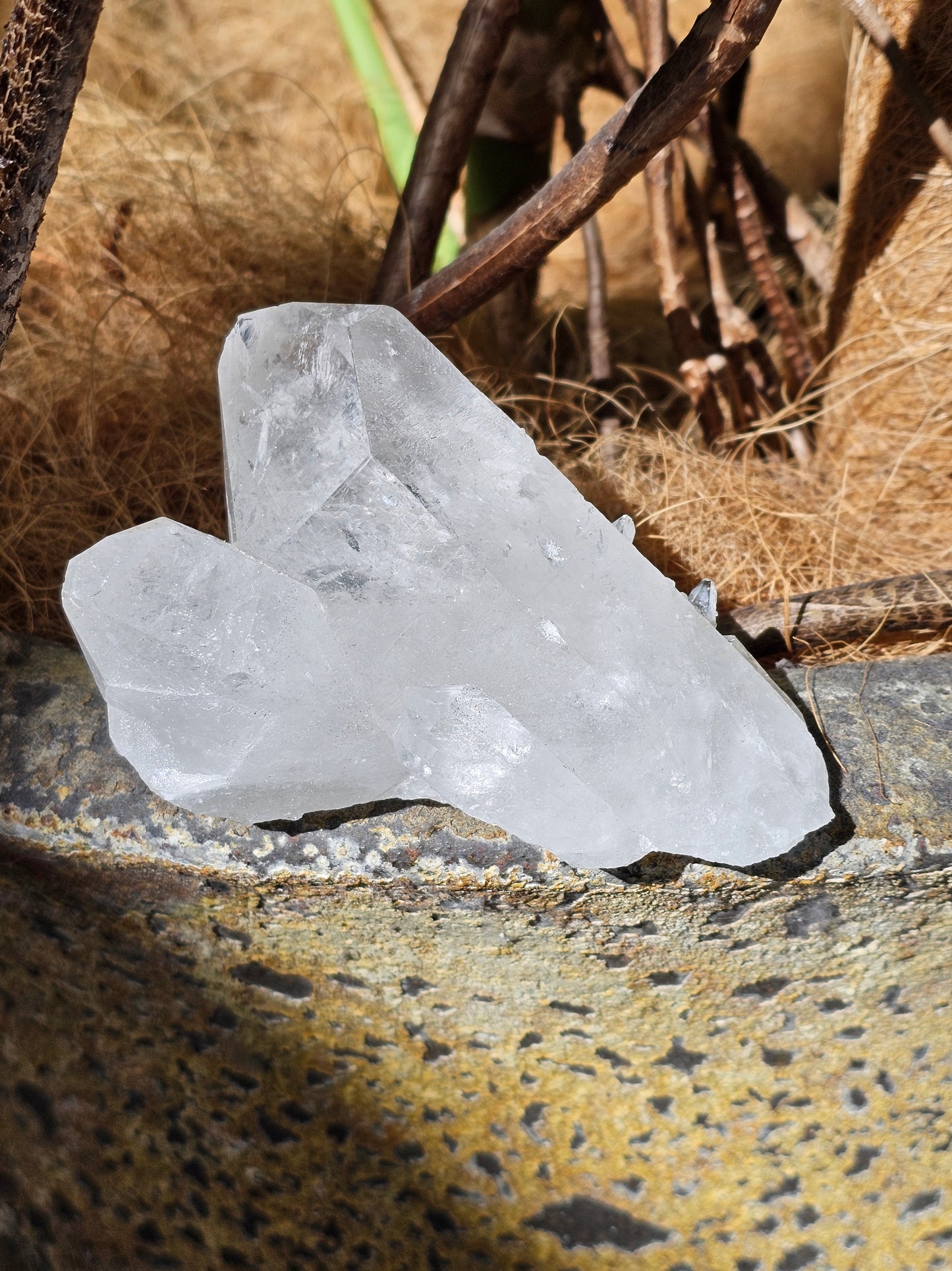 Clear Quartz Cluster - Rivendell Shop