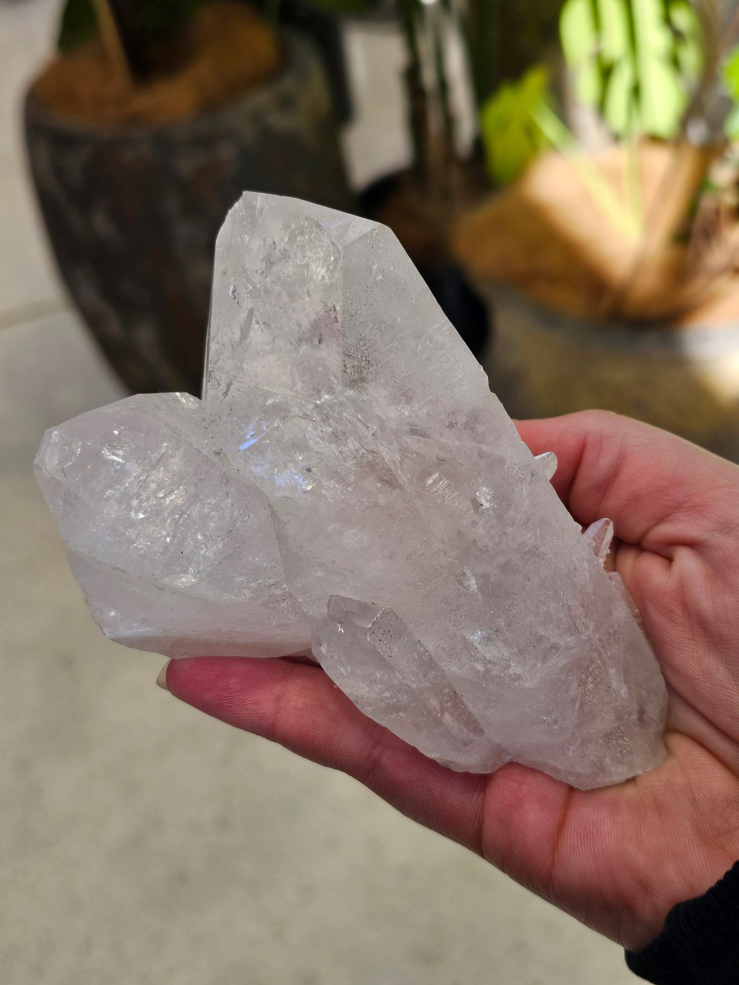 Clear Quartz Cluster - Rivendell Shop