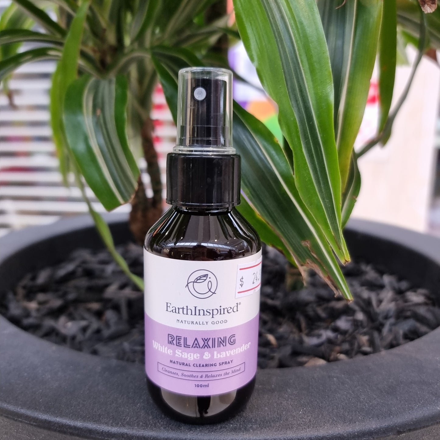 Room spray - white sage & lavender - Rivendell Shop