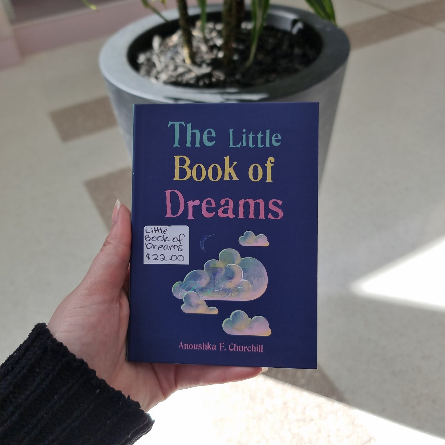 The little book of Dreams - Rivendell Shop