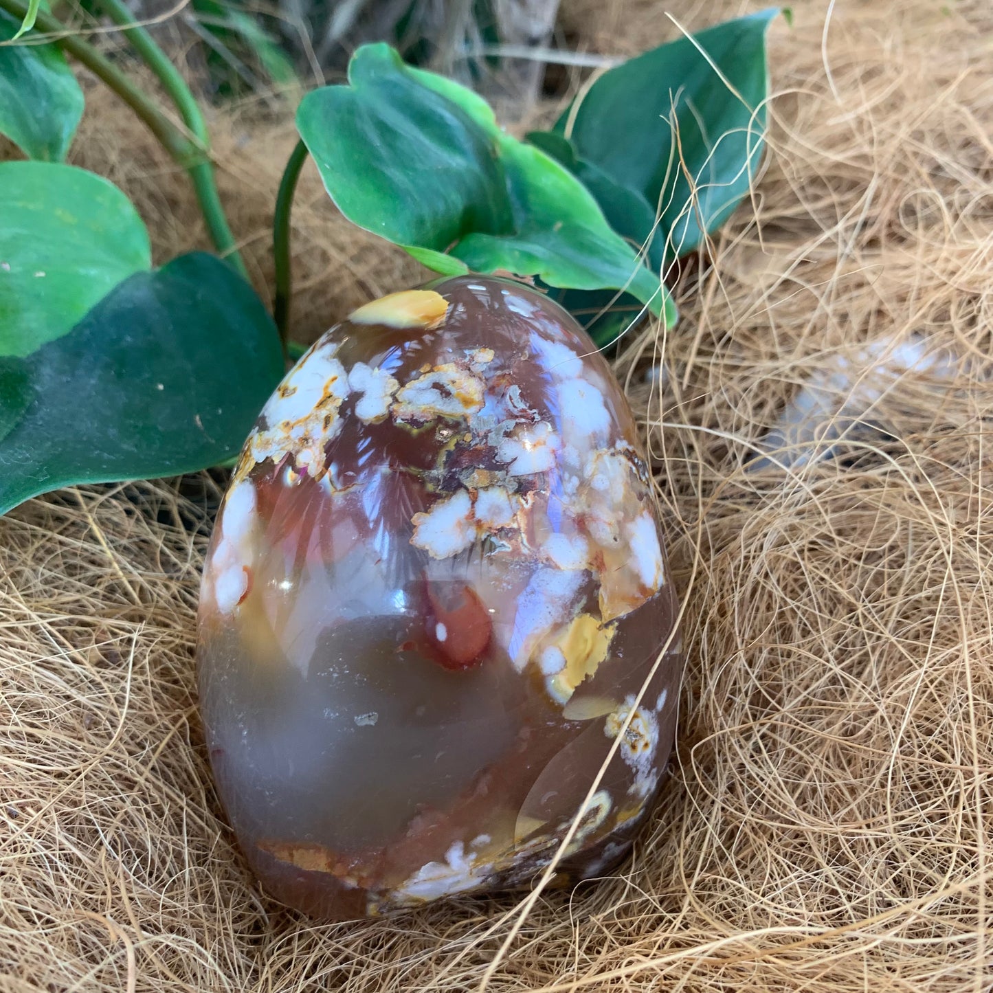 Flower Agate Freeform - Rivendell Shop