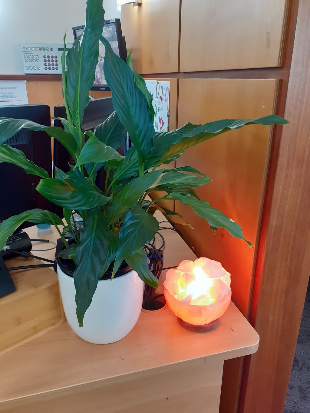 Carved Himalayan Salt Lamp Bowl - Rivendell Shop