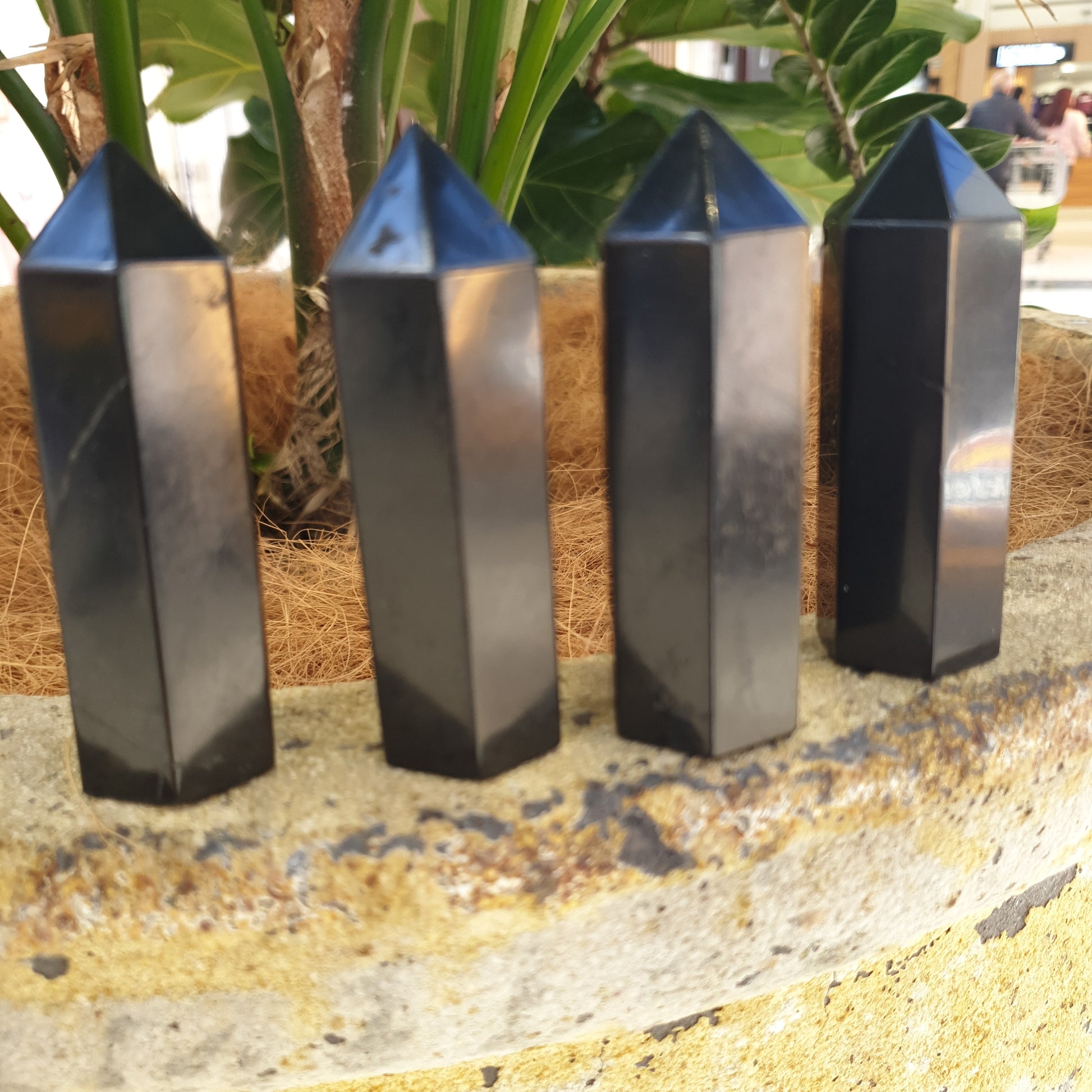 Shungite Polished Point - Rivendell Shop