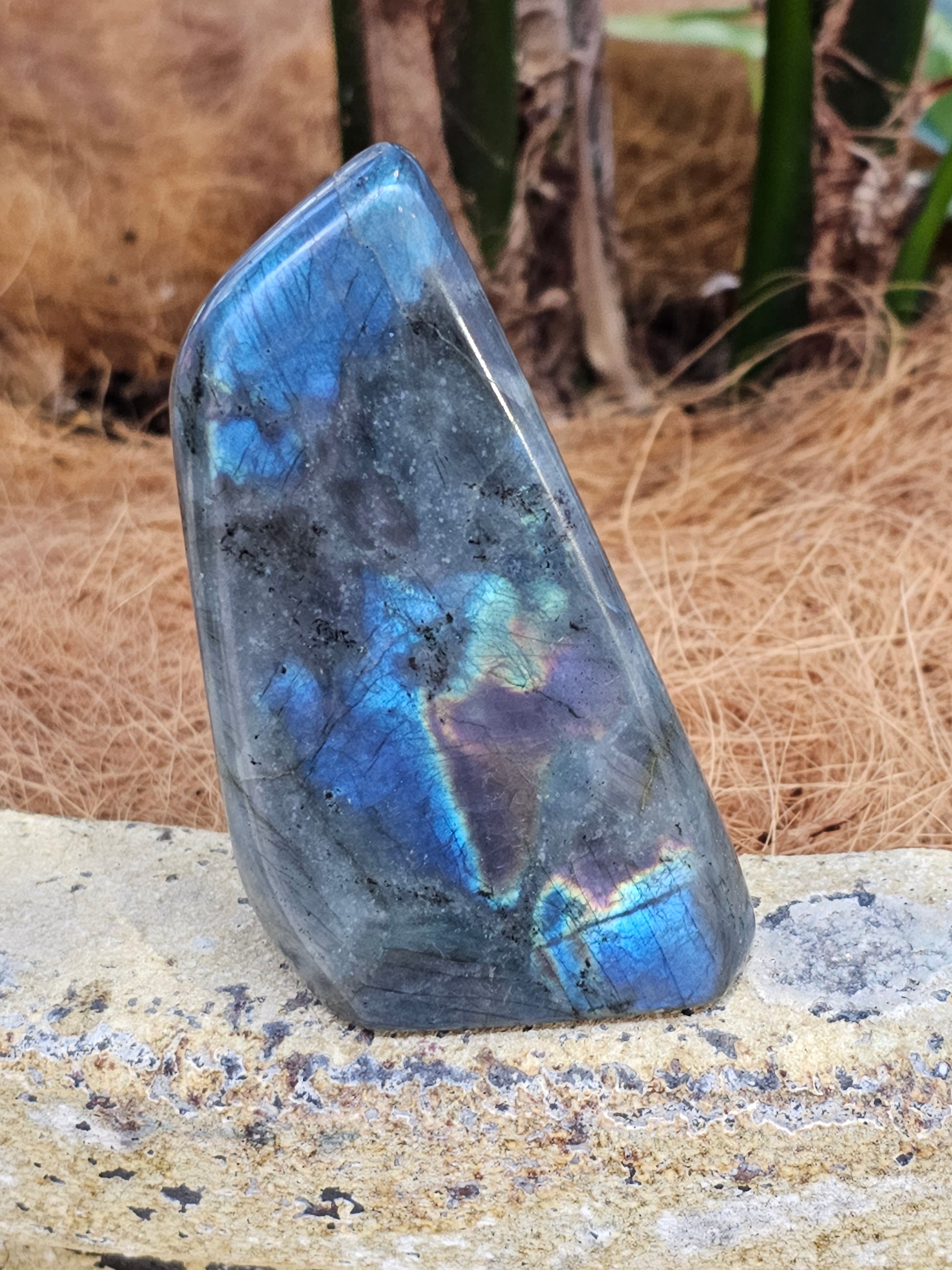 Labradorite freeform - Rivendell Shop