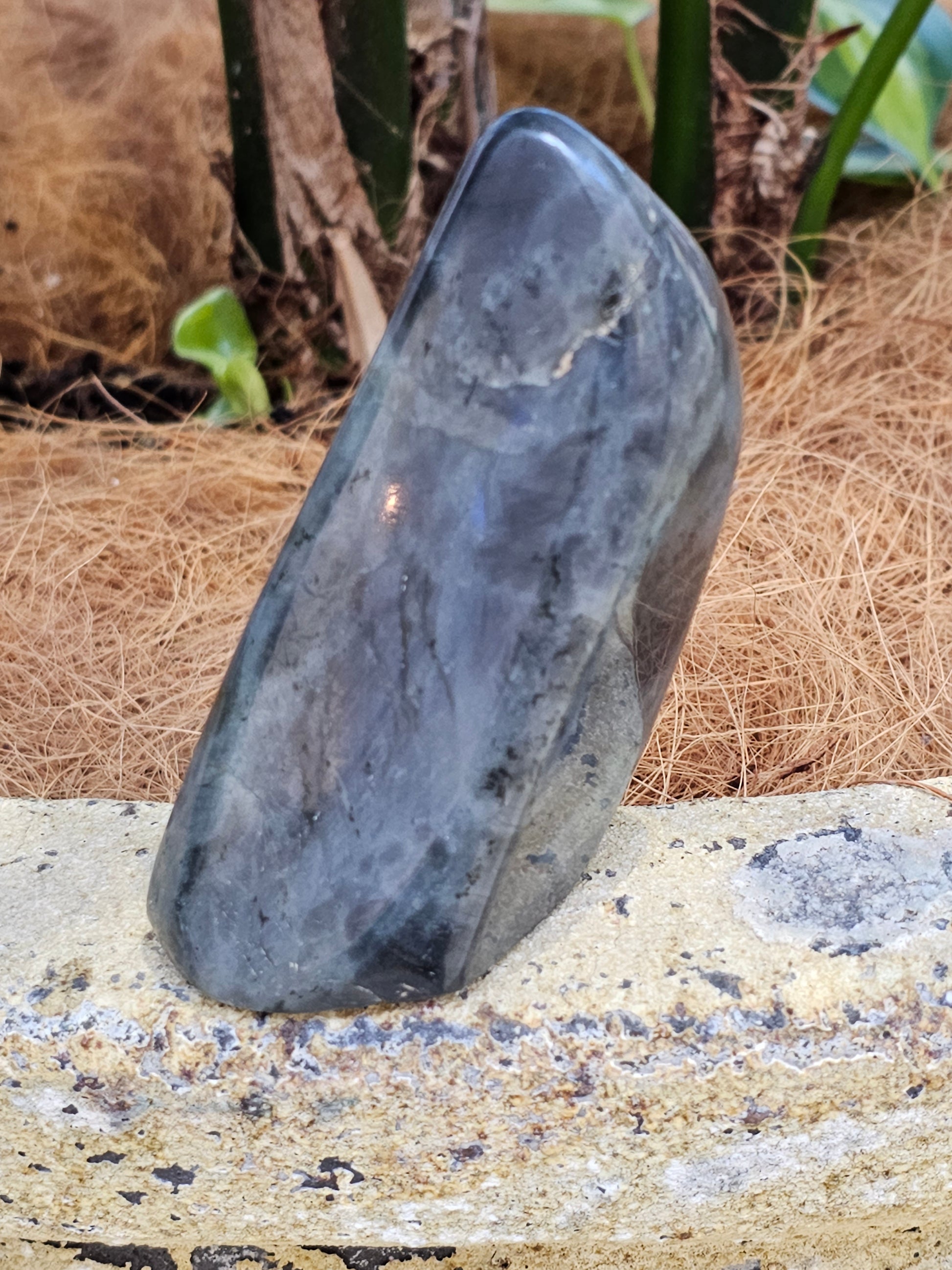 Labradorite freeform - Rivendell Shop