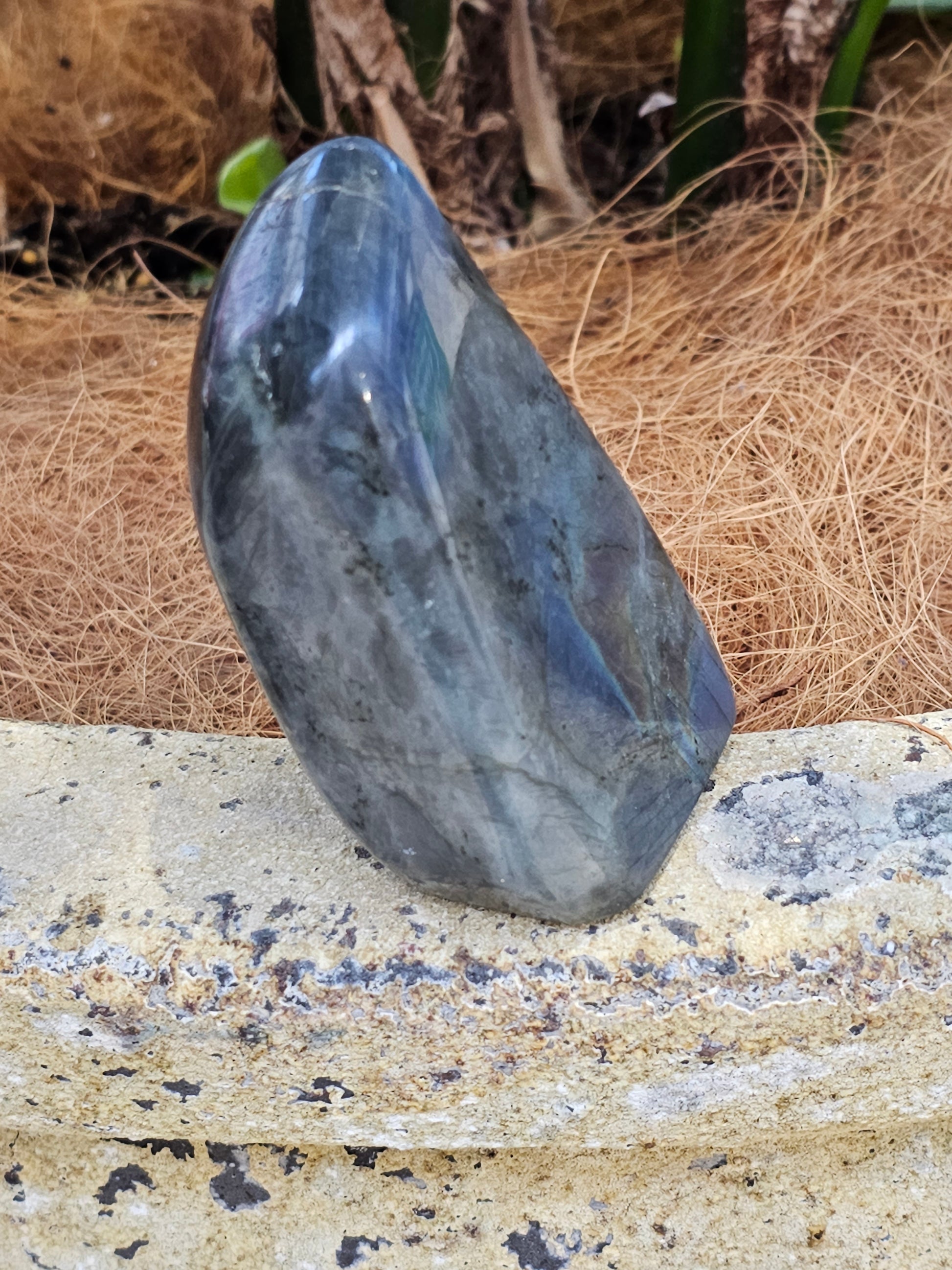 Labradorite freeform - Rivendell Shop