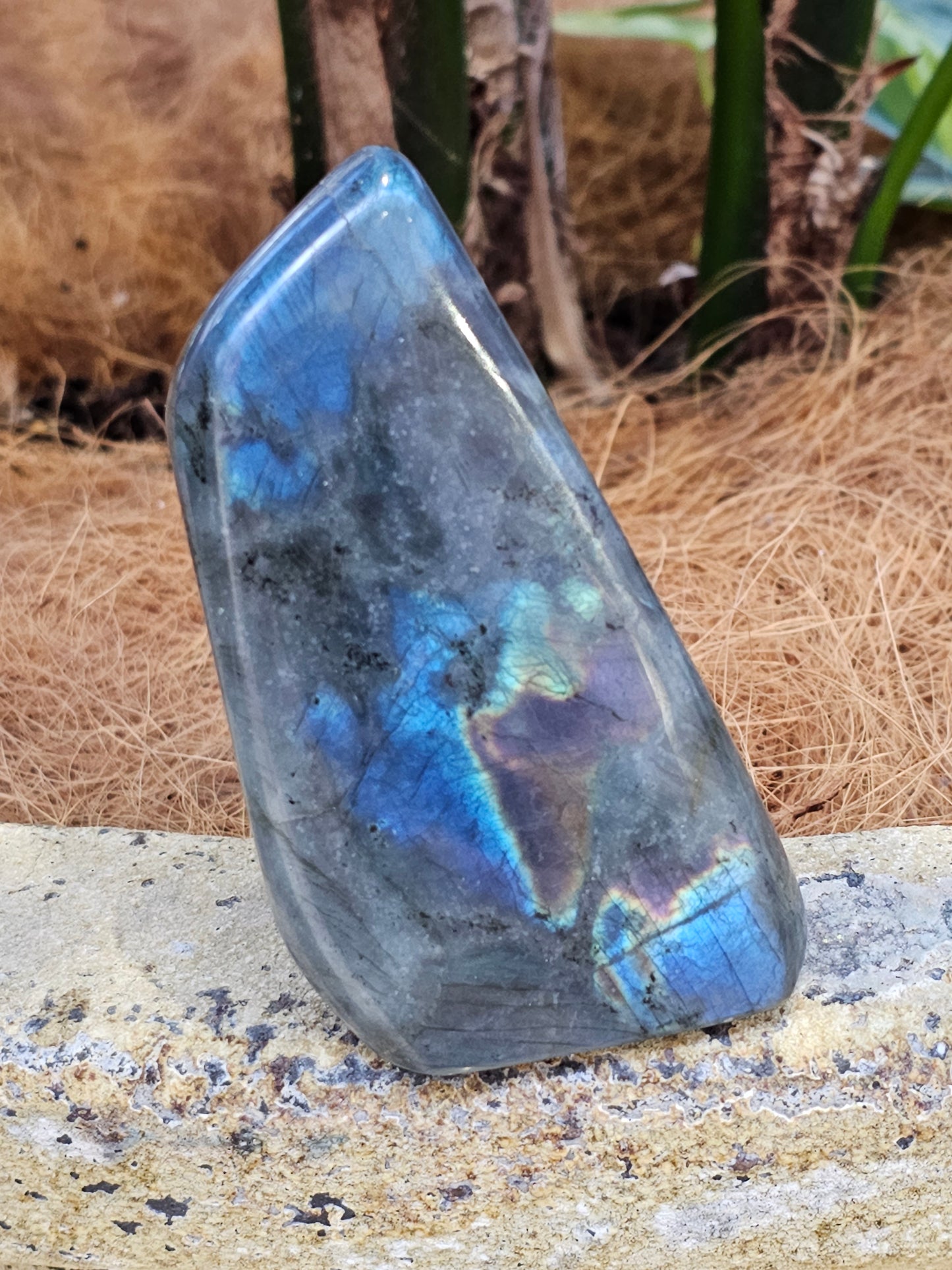 Labradorite freeform - Rivendell Shop