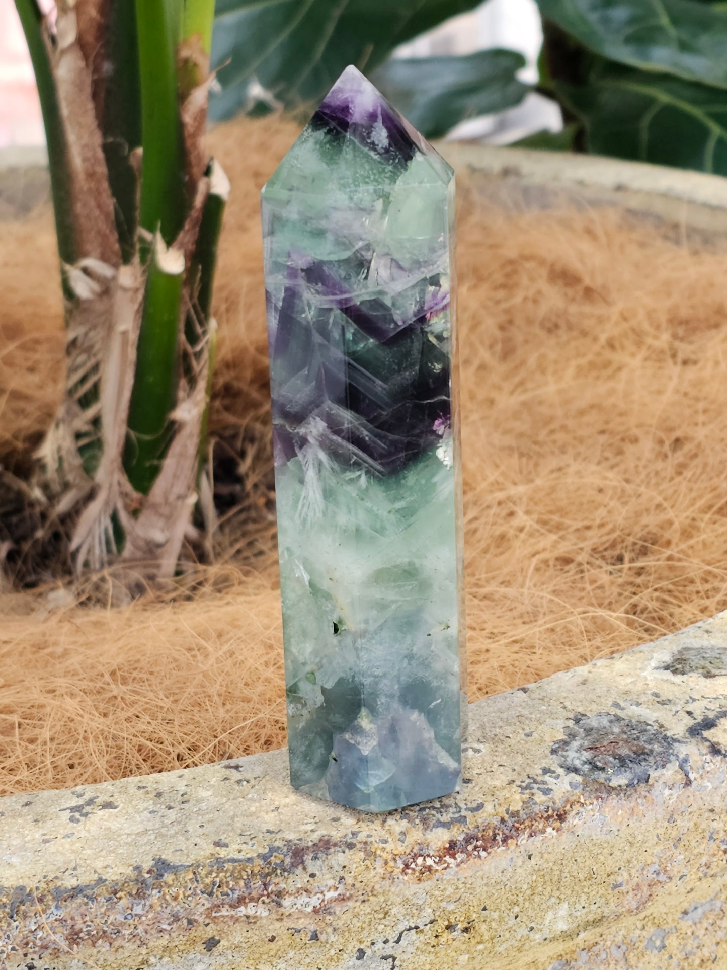 Fluorite Crystal Point - Rivendell Shop