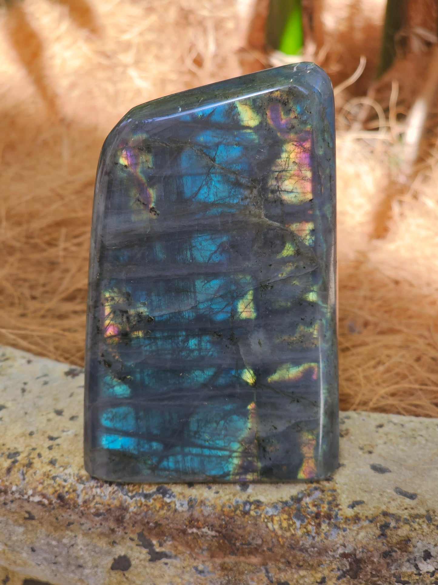 Labradorite Freeform - Rivendell Shop