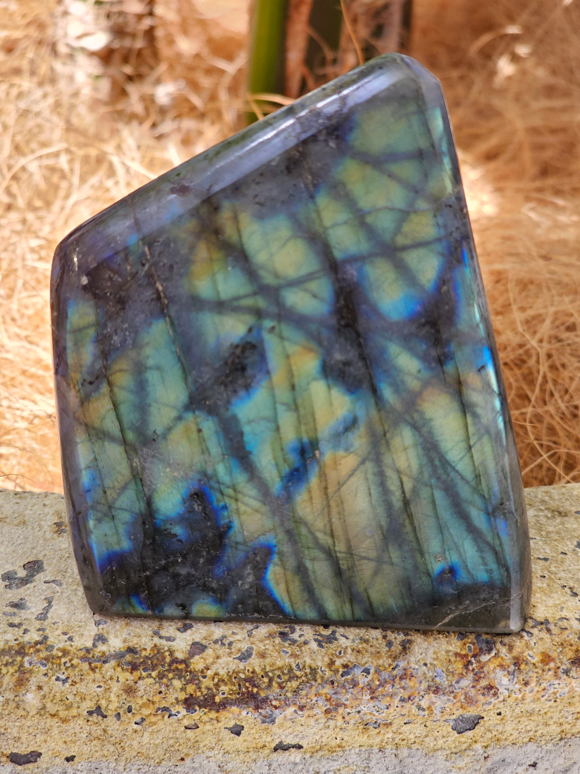 Labradorite Freeform - Rivendell Shop