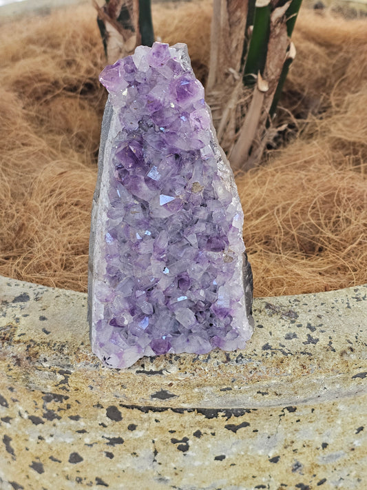 Standing amethyst