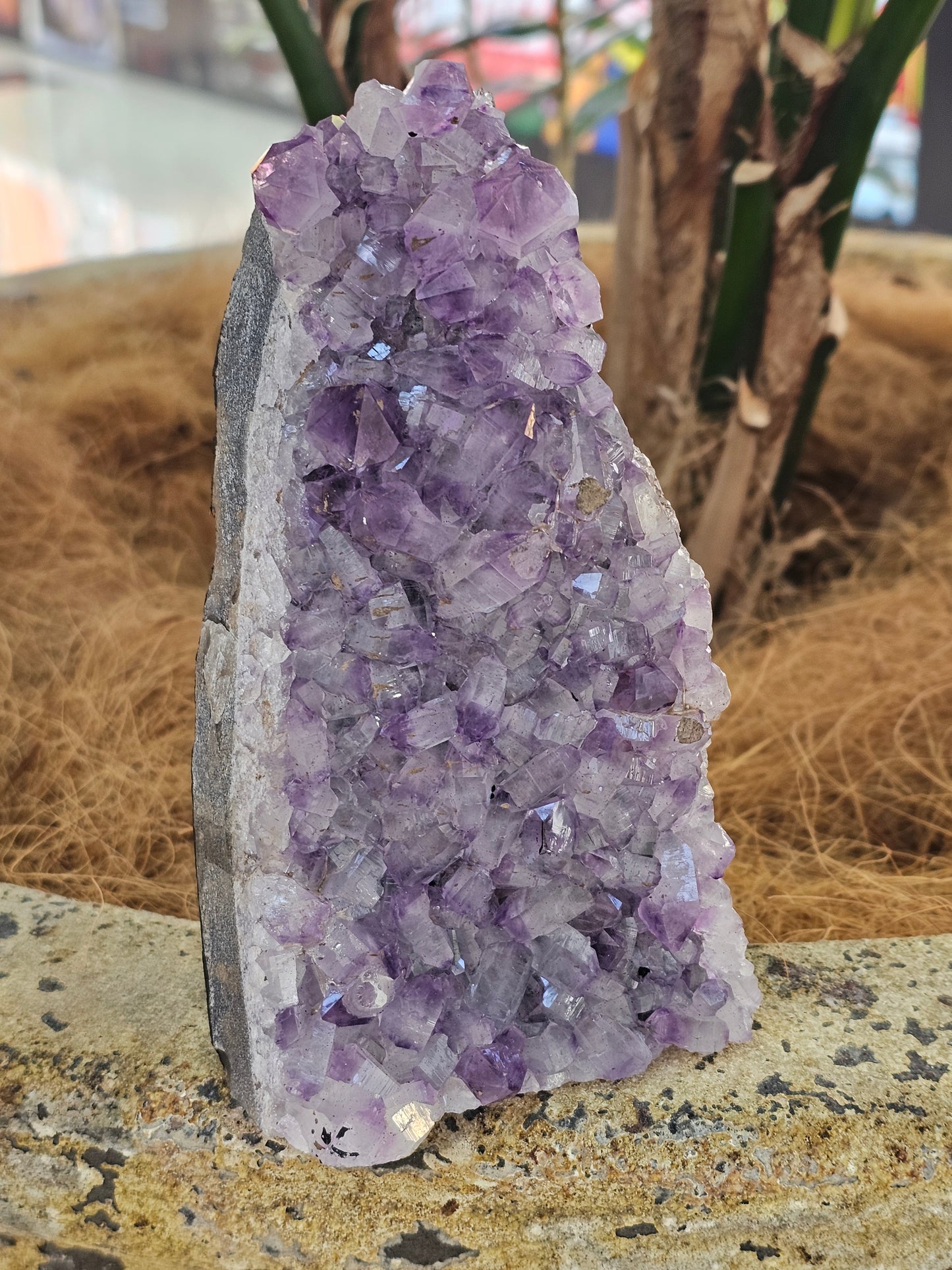 Standing amethyst