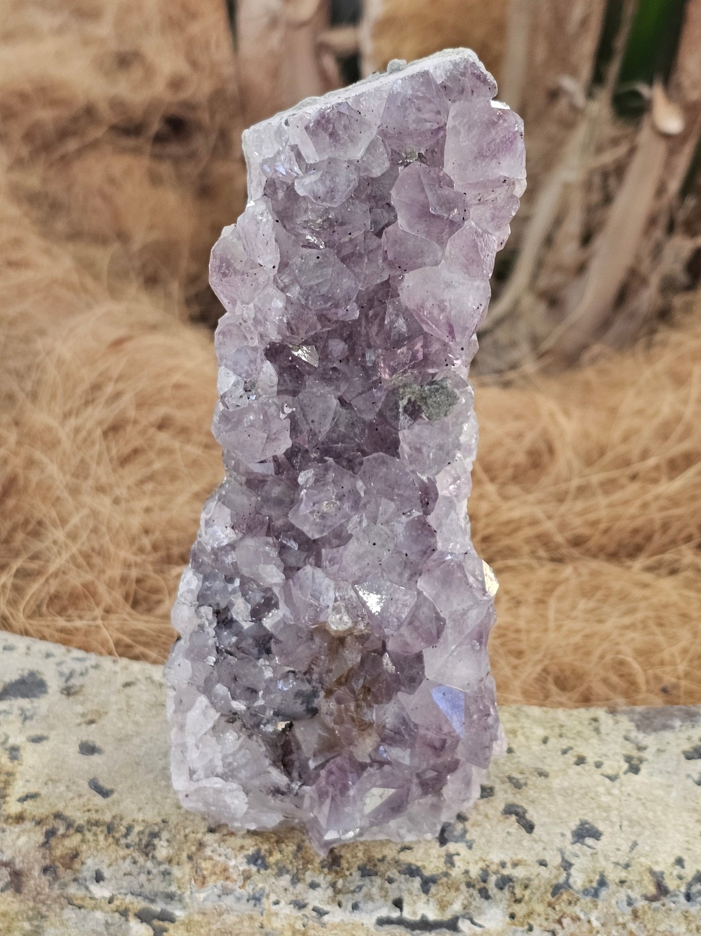 Standing amethyst