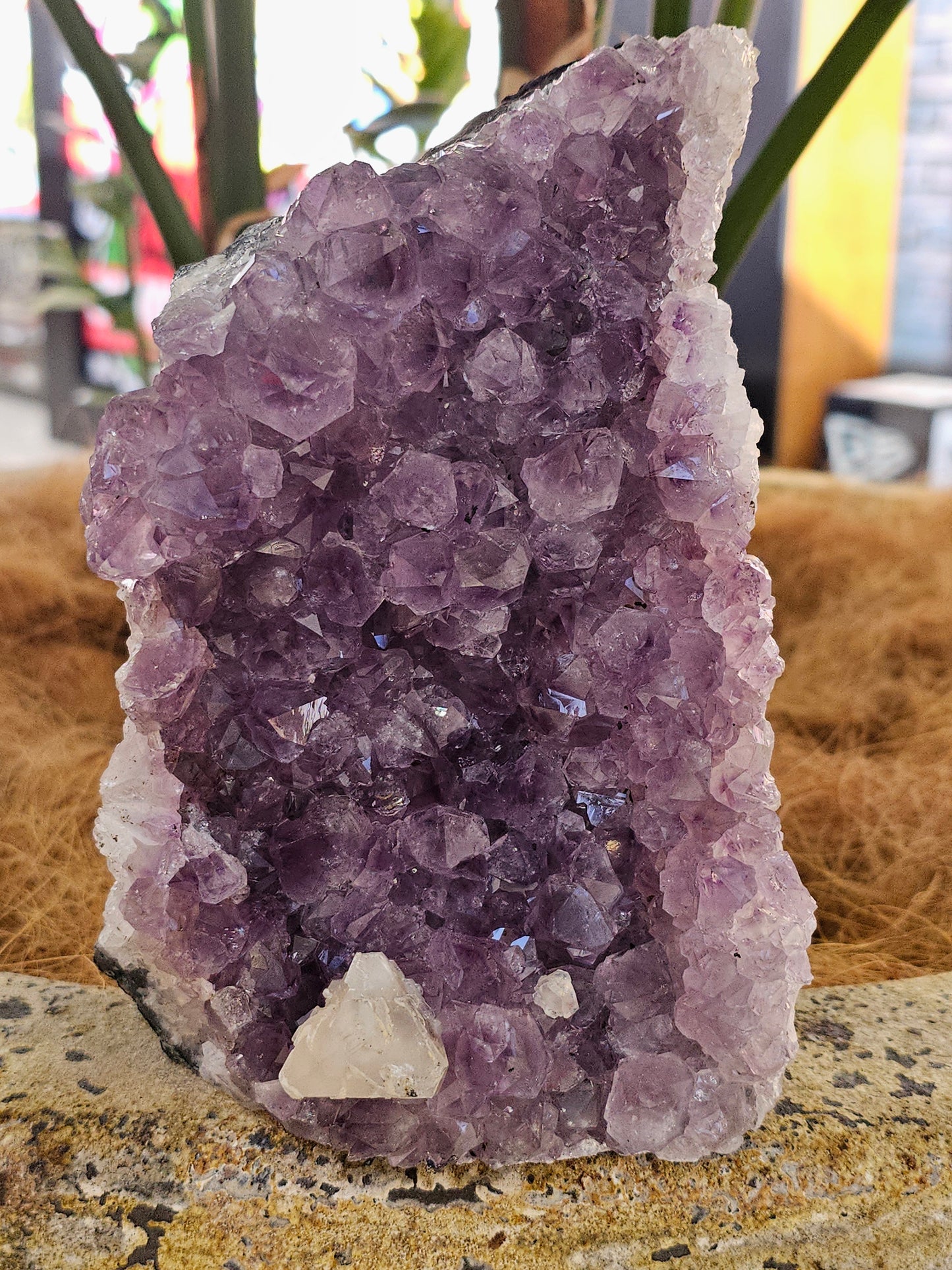 Standing Amethyst