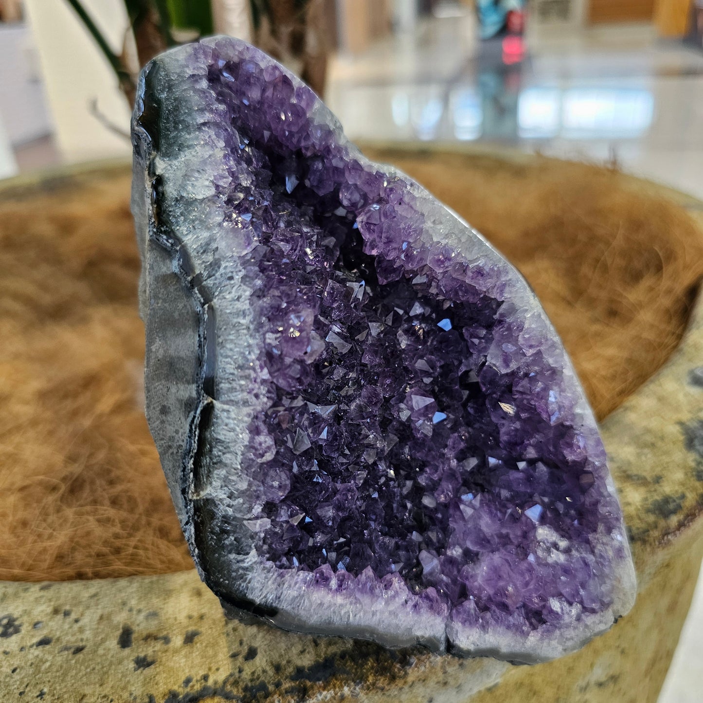 Amethyst Standing Cluster