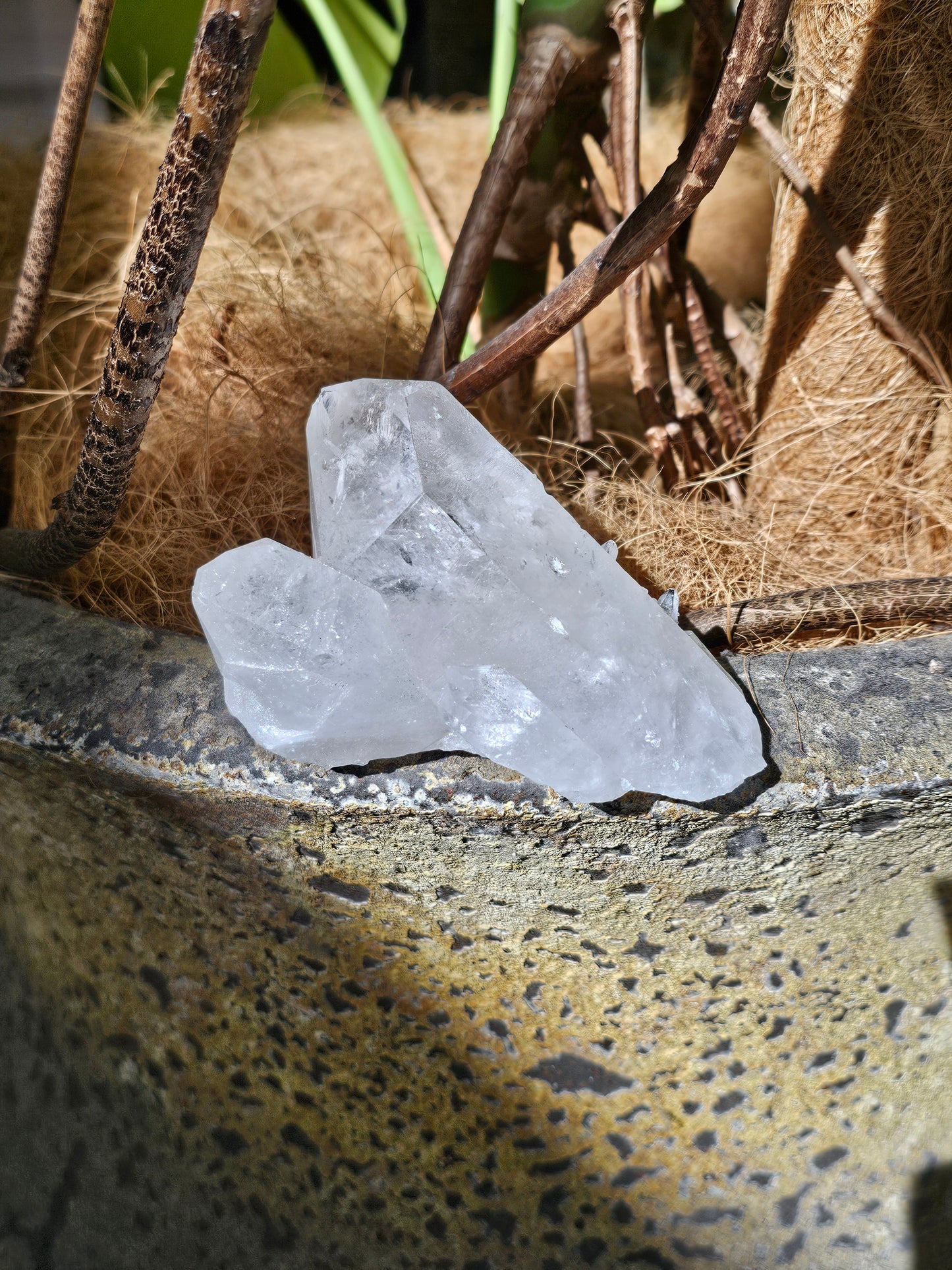 Clear Quartz Cluster