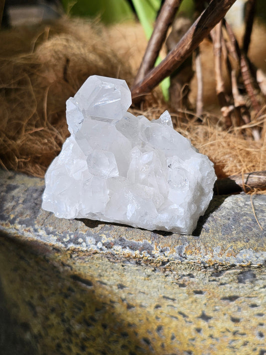 Clear Quartz Cluster