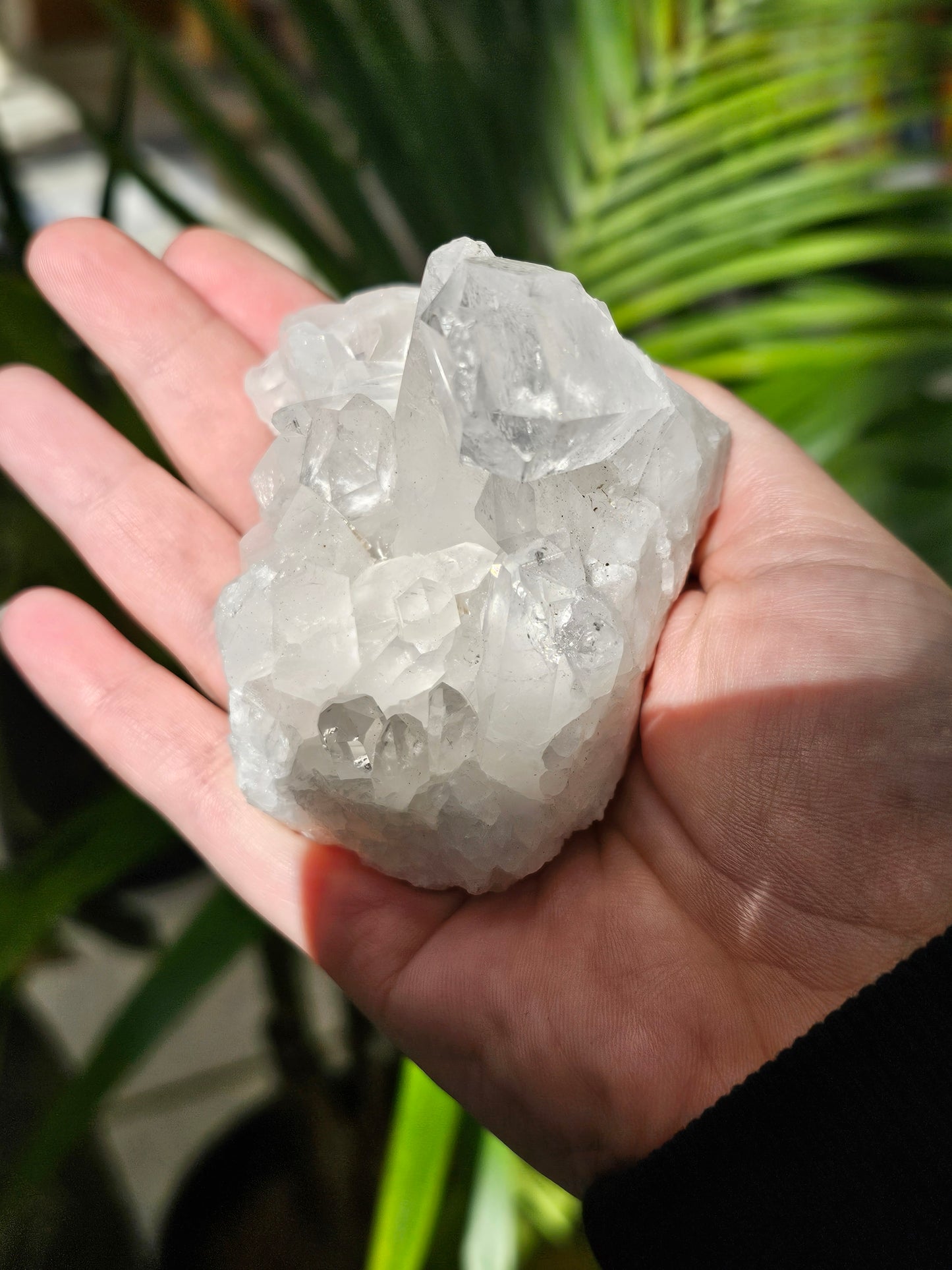 Clear Quartz Cluster