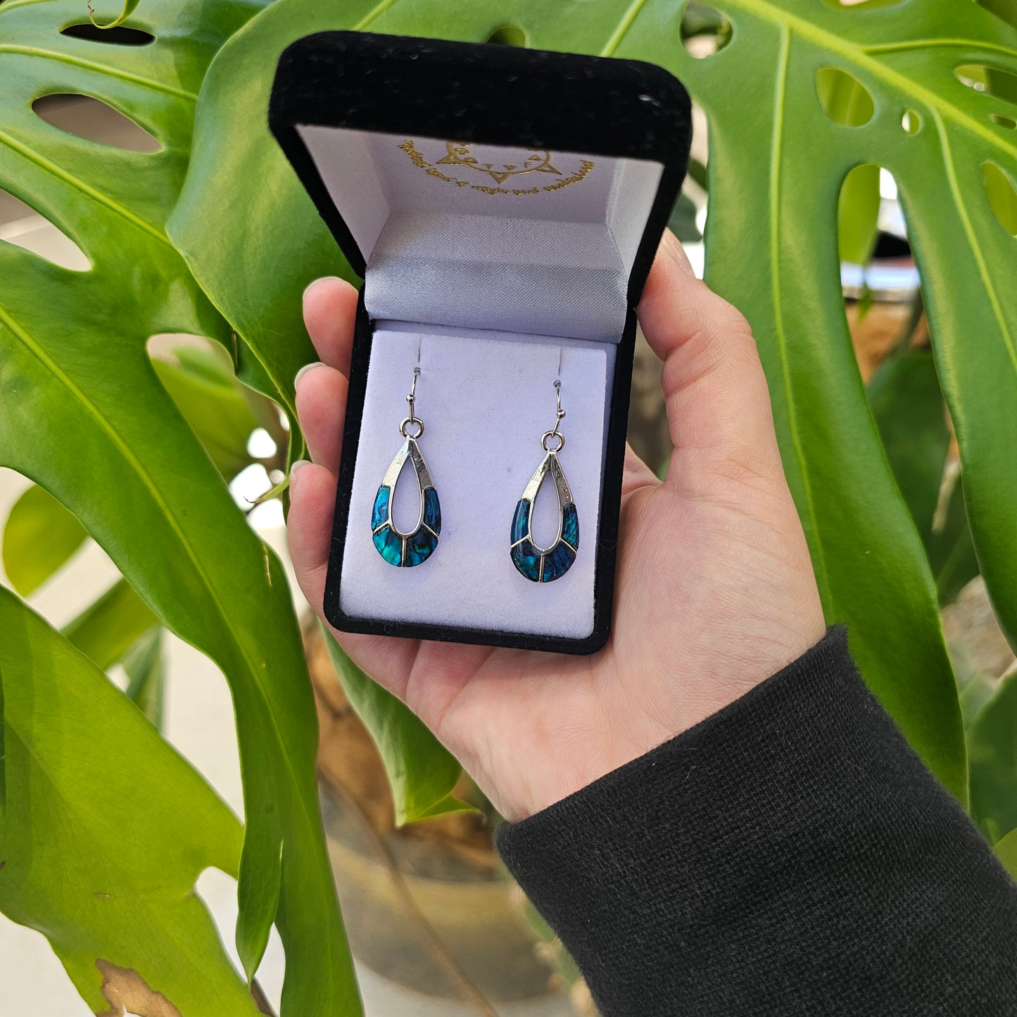 Paua Earrings - Open Teardrop