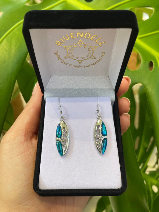 Paua Earrings