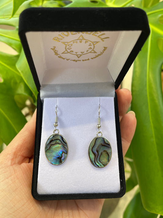 Paua Earrings - Large Oval