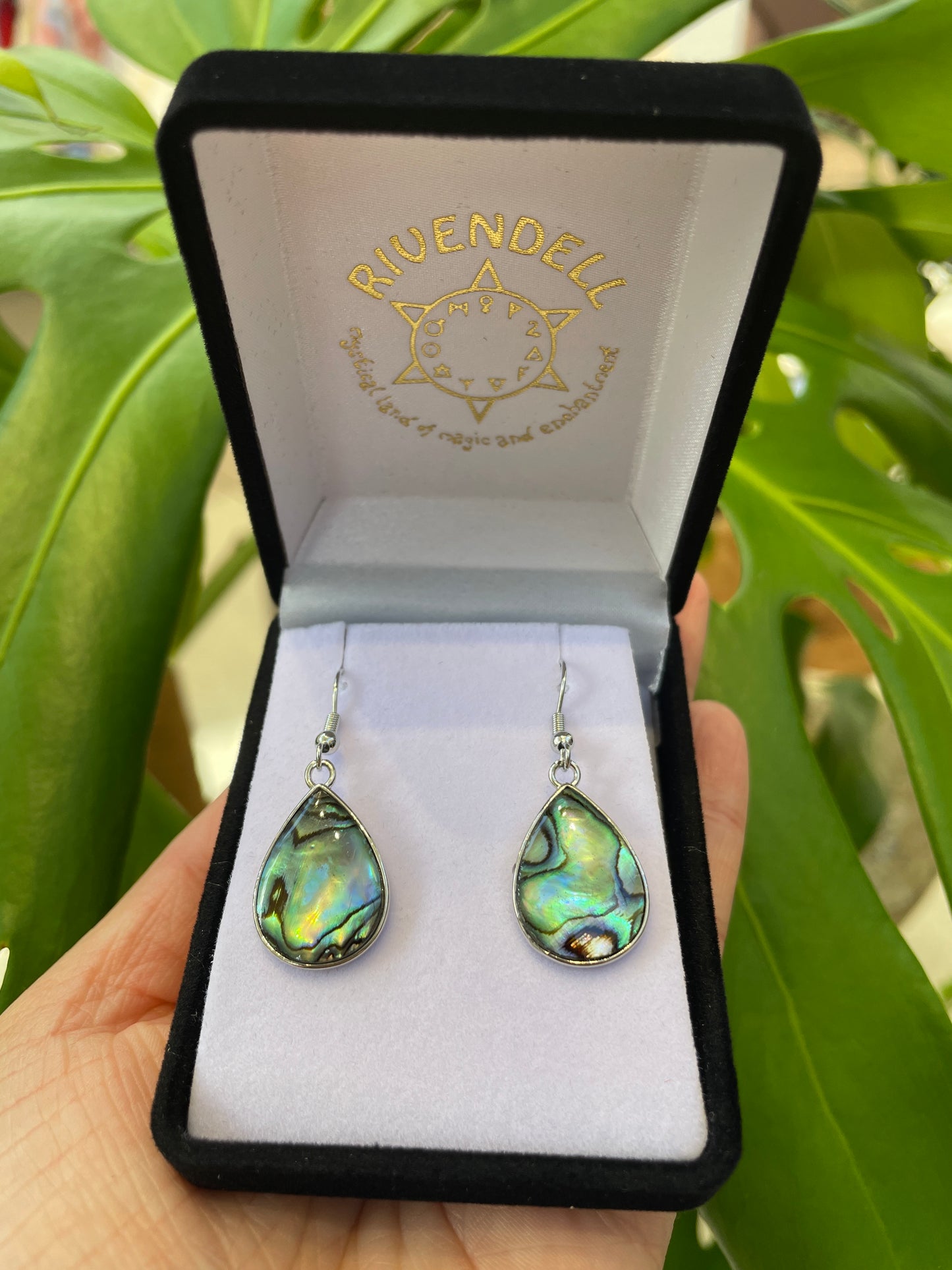 Paua Earrings - Teardrop