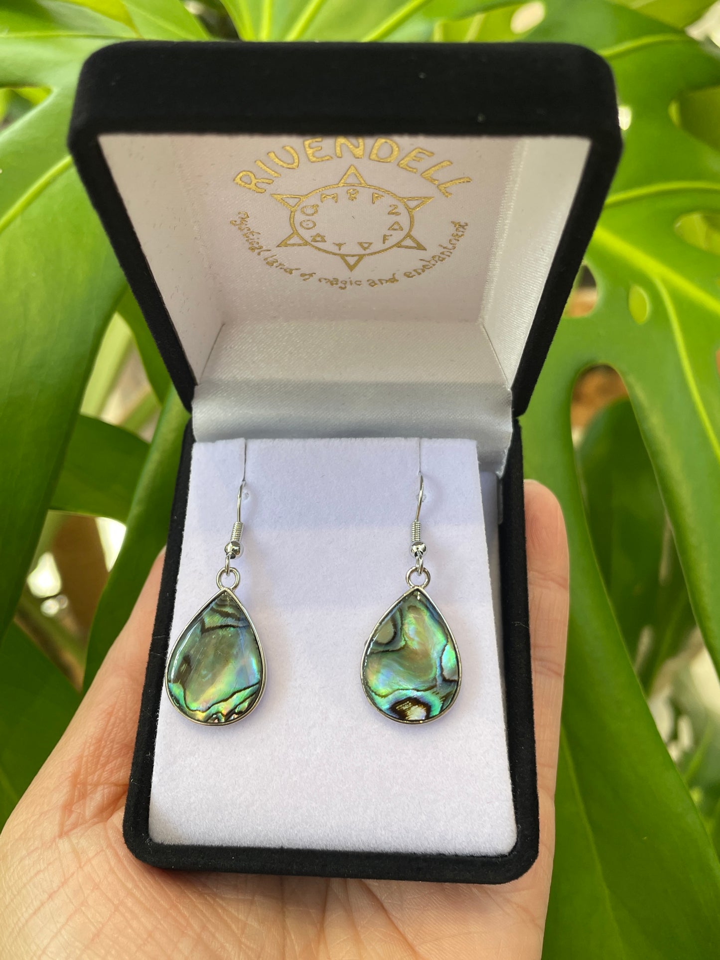 Paua Earrings - Teardrop