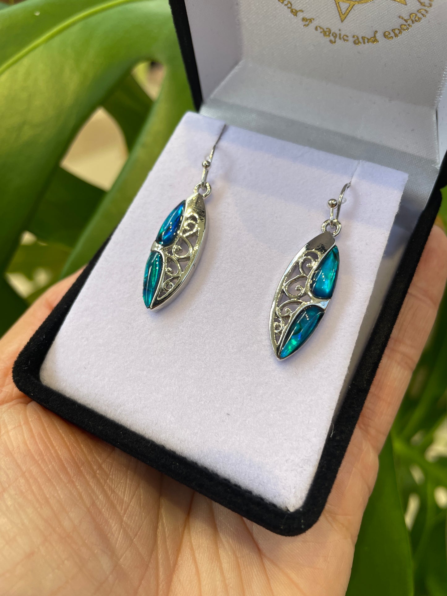 Paua Earrings