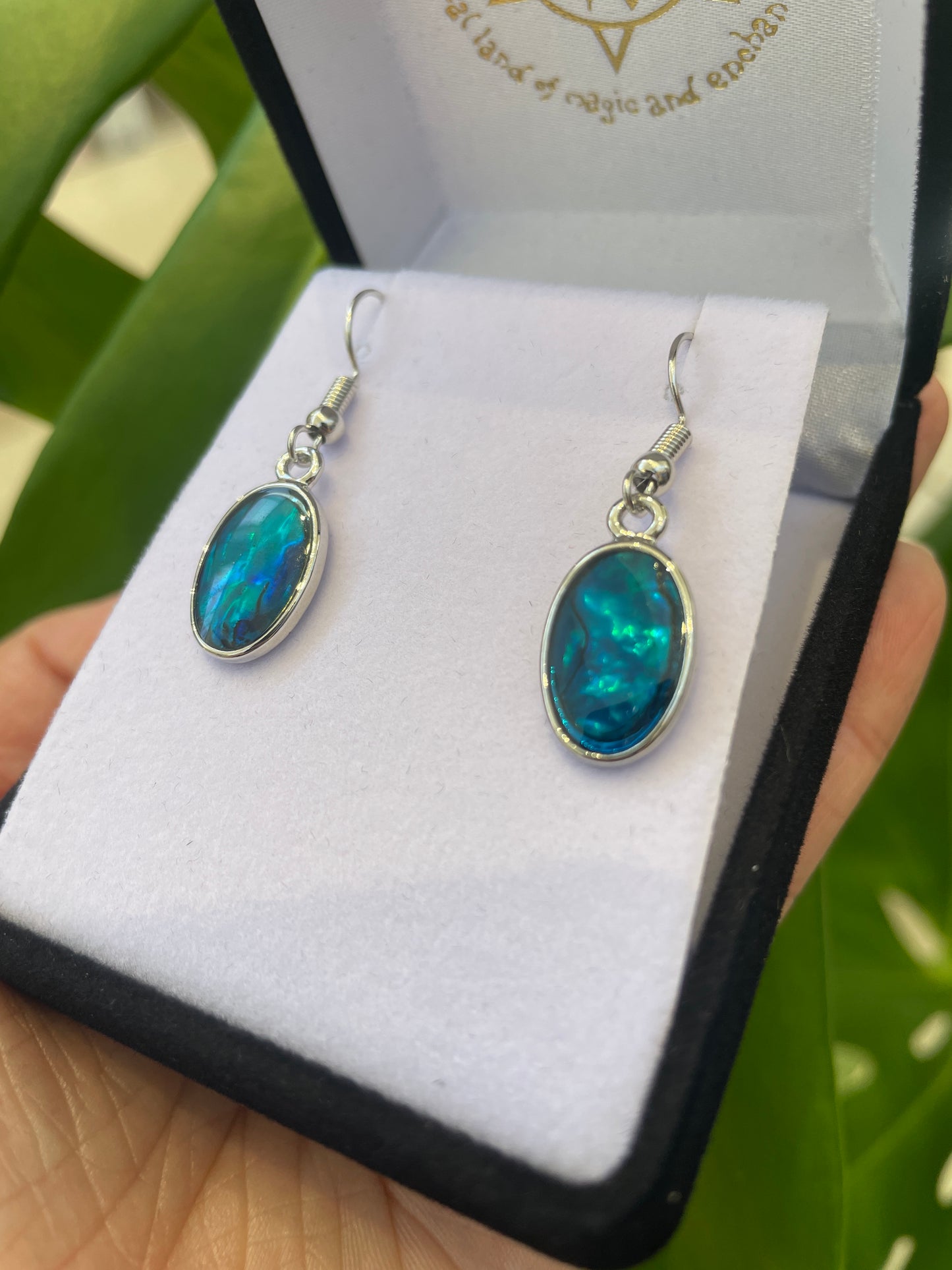 Paua Earrings - Oval