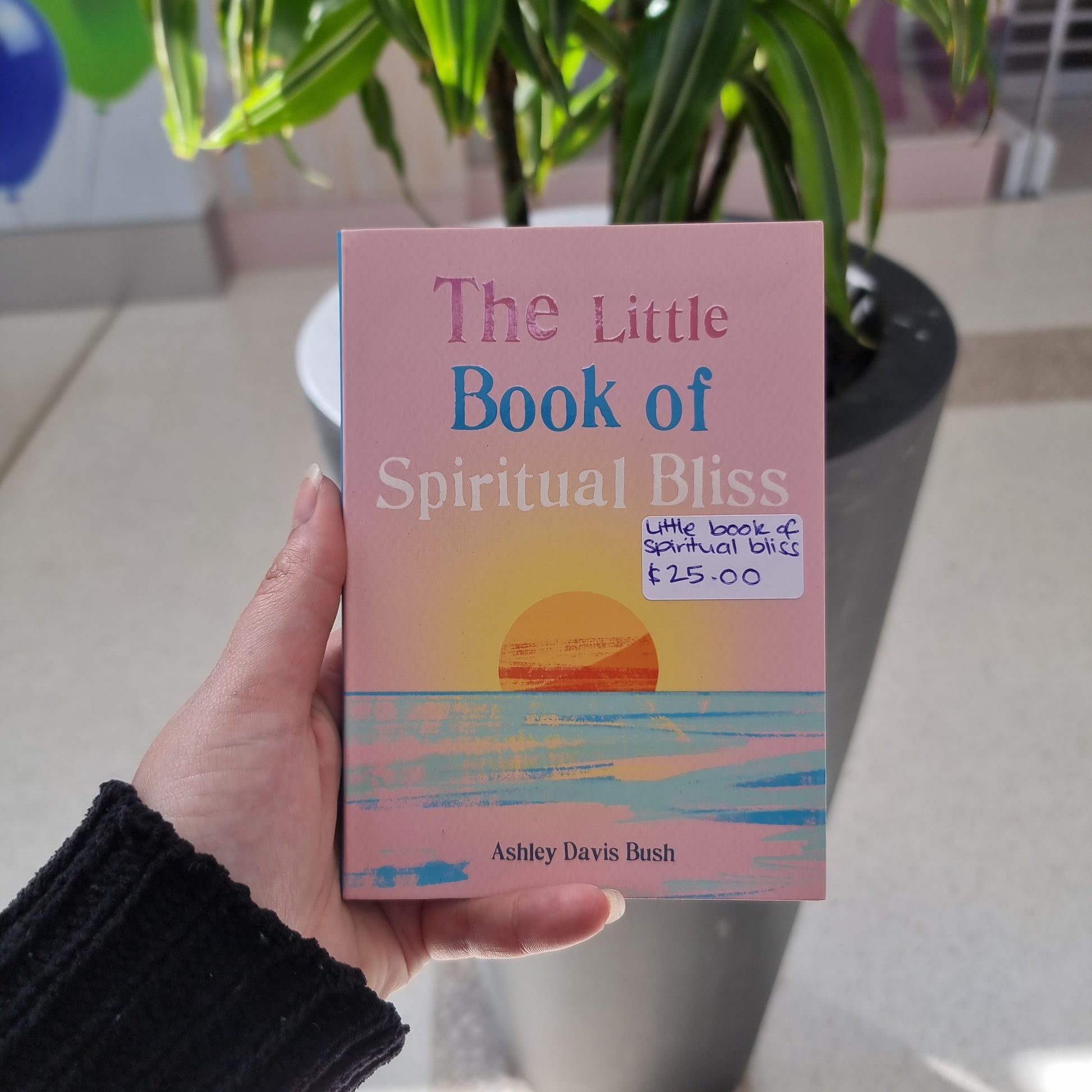 The little book of Spiritual bliss - Rivendell Shop