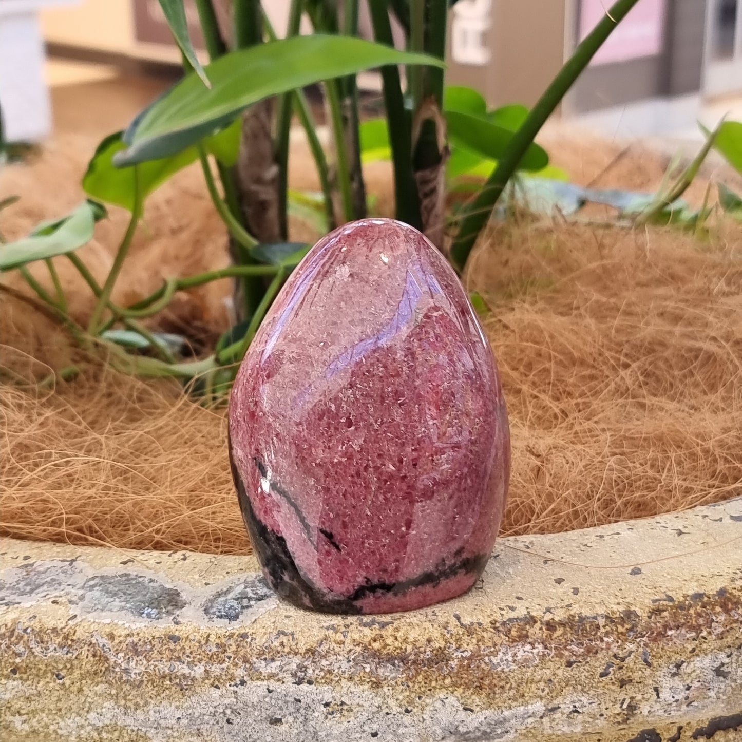 Rhodonite freeform - Rivendell Shop