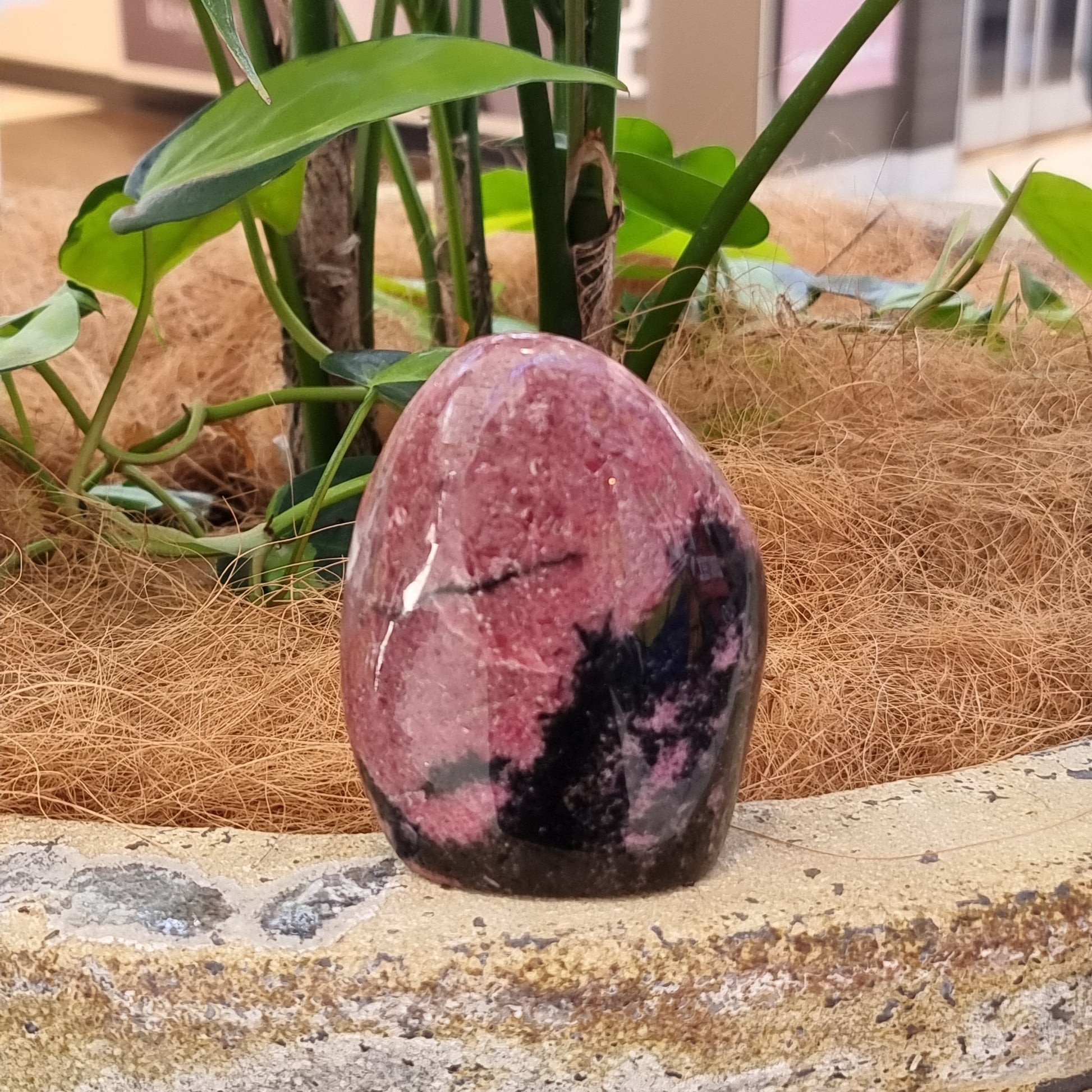 Rhodonite freeform - Rivendell Shop