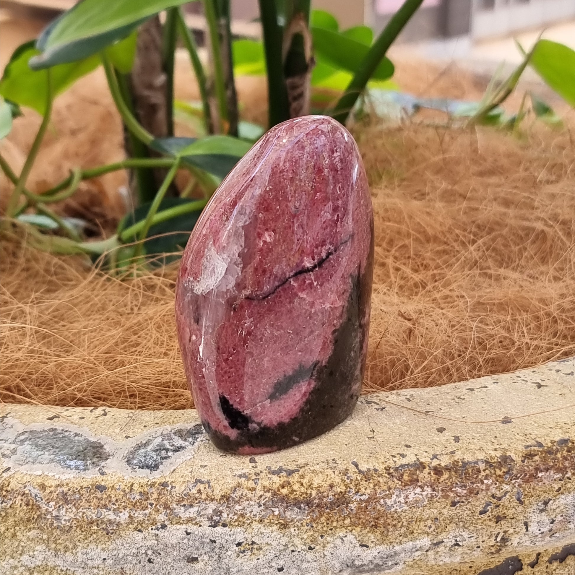 Rhodonite freeform - Rivendell Shop