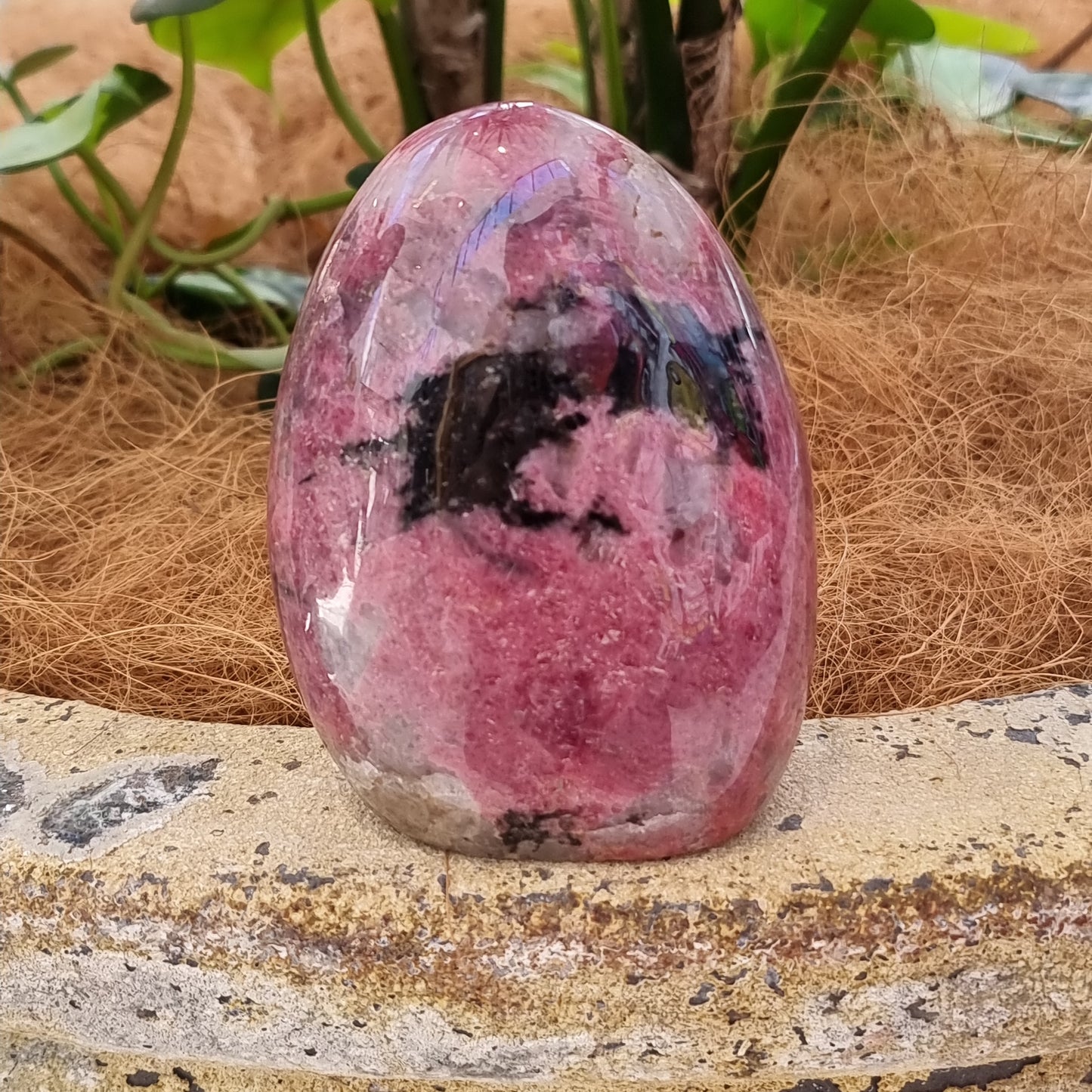 Rhodonite freeform - Rivendell Shop