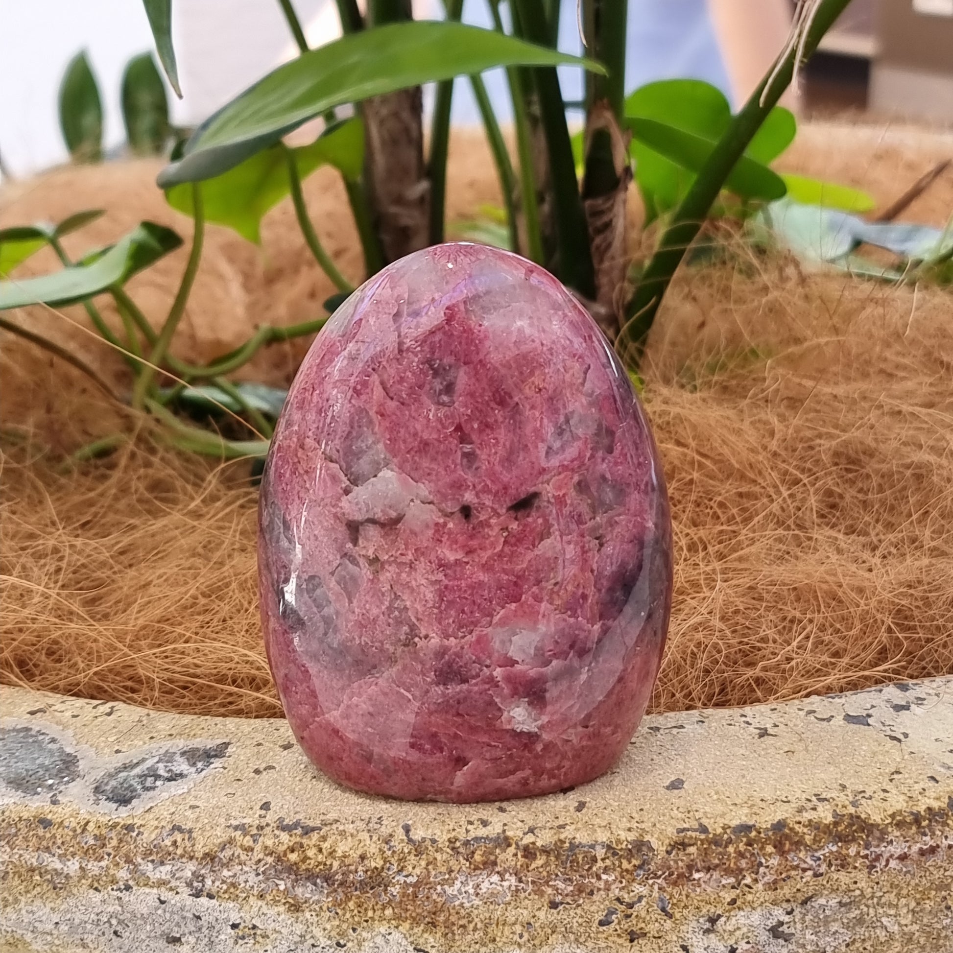 Rhodonite freeform - Rivendell Shop