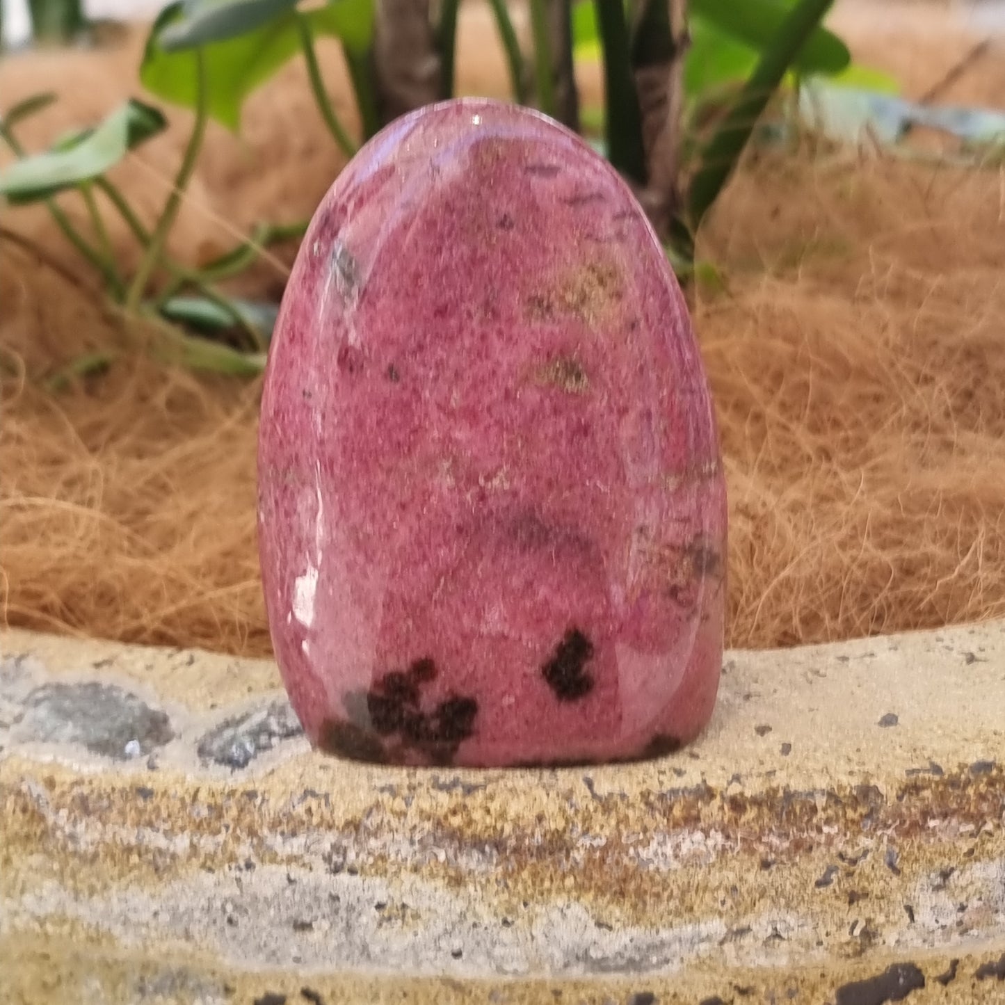 Rhodonite freeform - Rivendell Shop