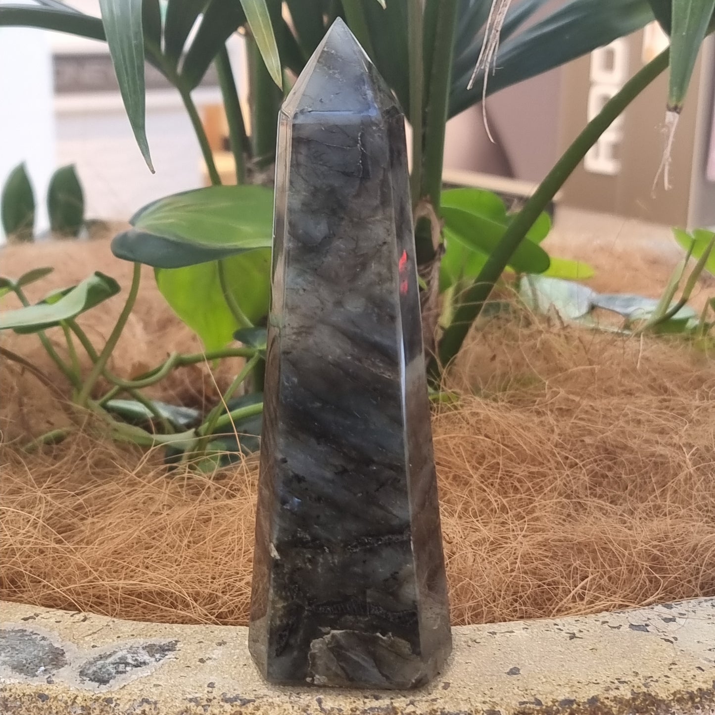 Labradorite point - Rivendell Shop