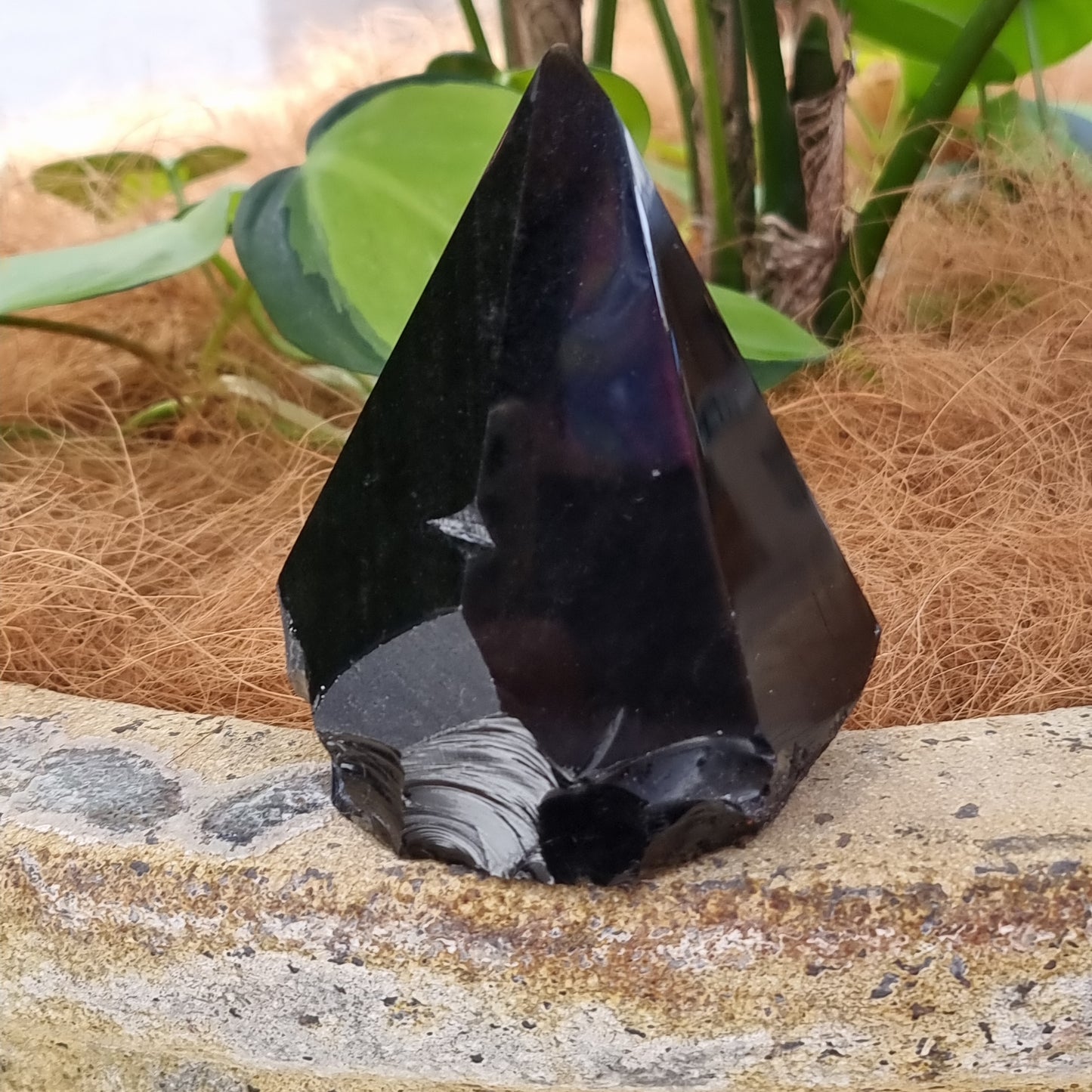 Black obsidian semi polished point - Rivendell Shop