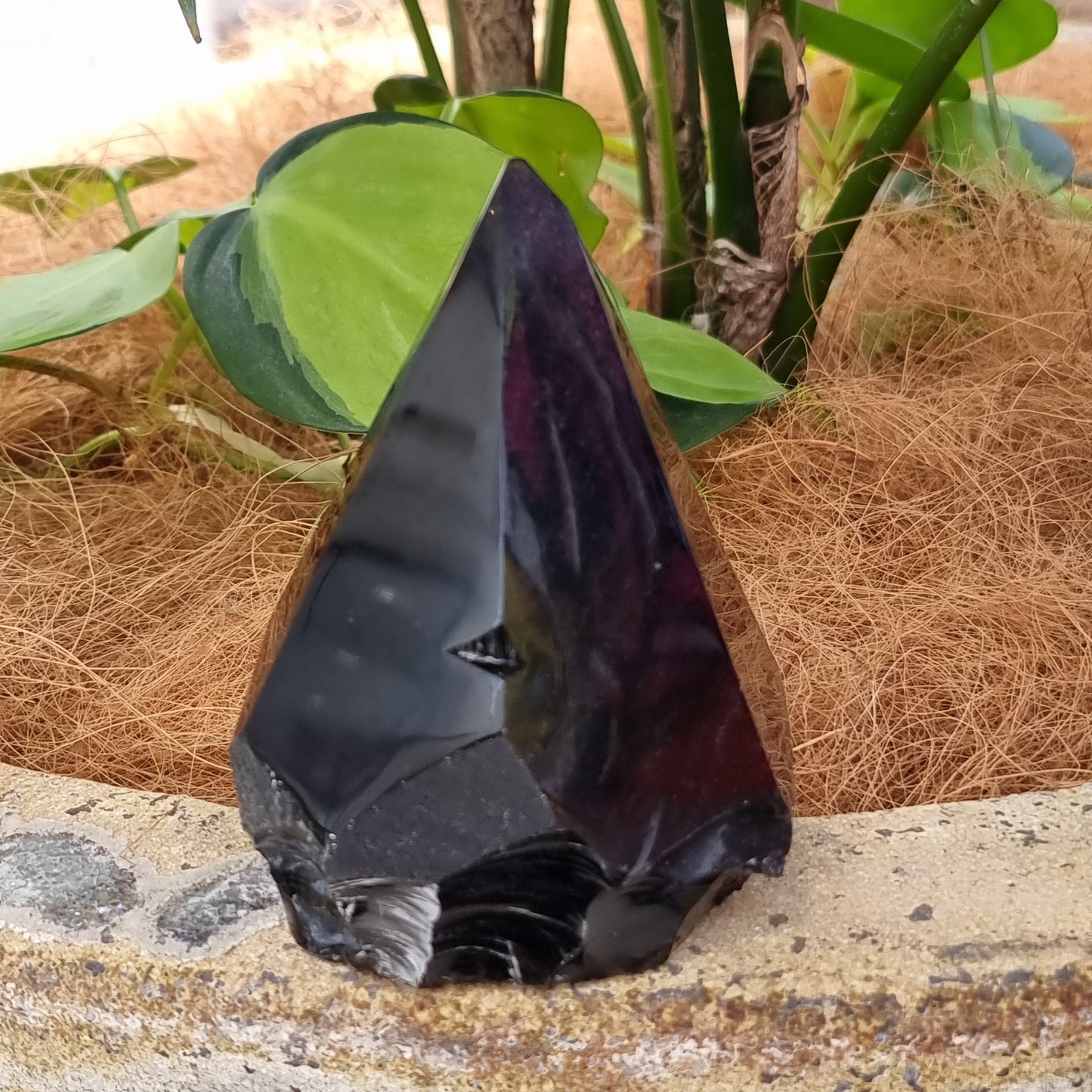 Black obsidian semi polished point - Rivendell Shop