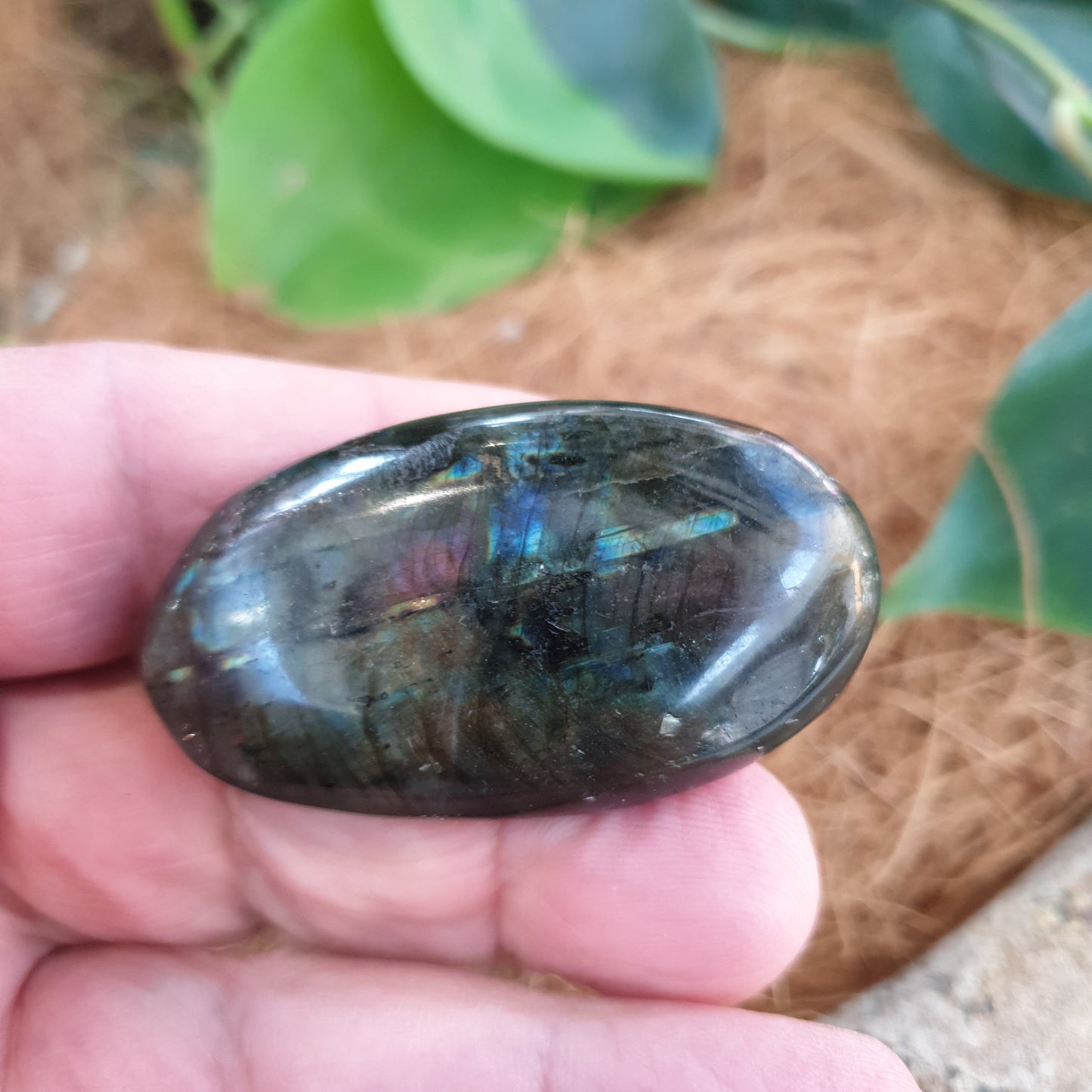 Labradorite Crystal (4-5cm) - Rivendell Shop