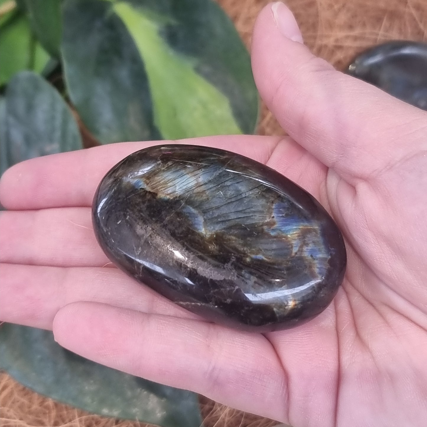 Labradorite palmstone - Rivendell Shop