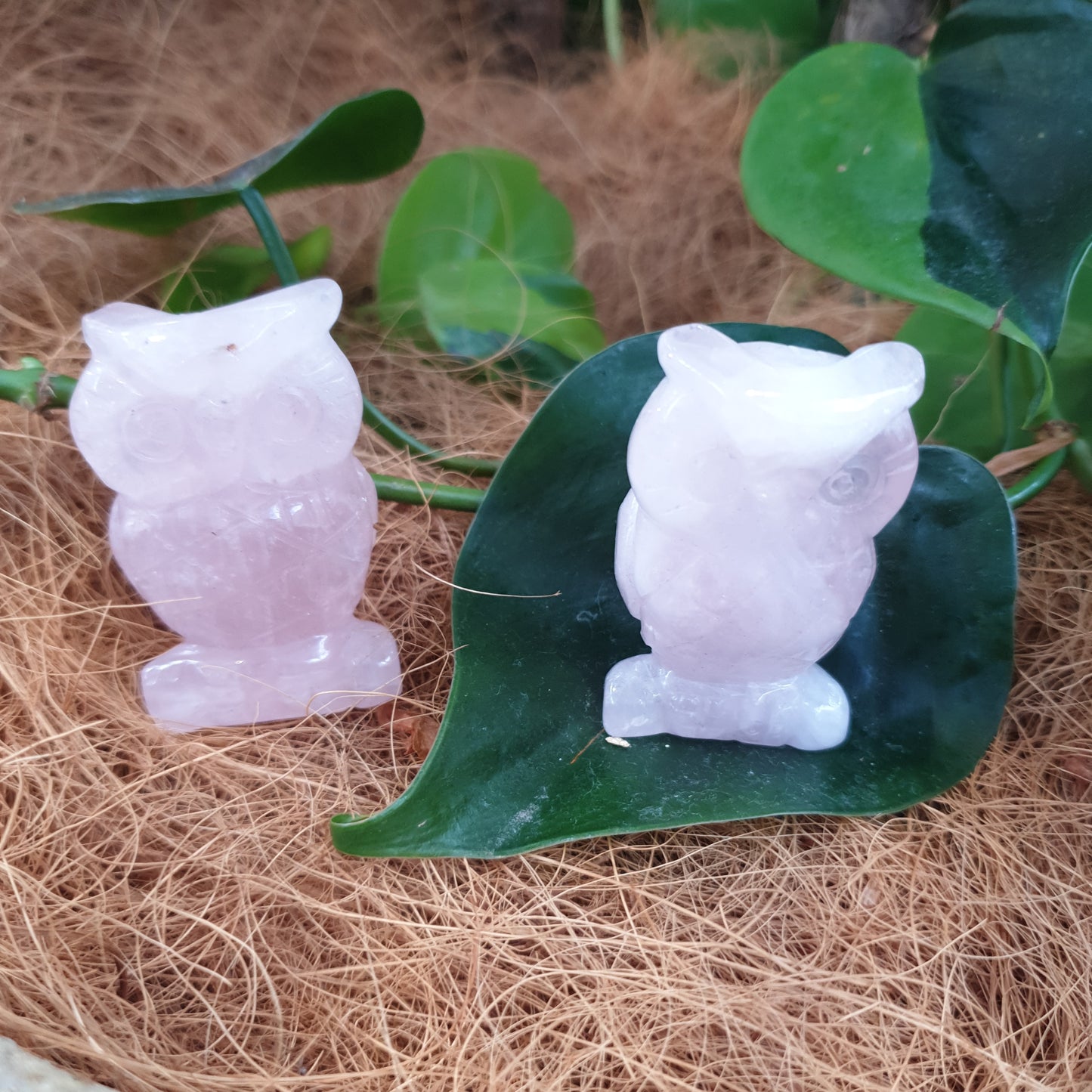 Rose quartz Owl - Rivendell Shop