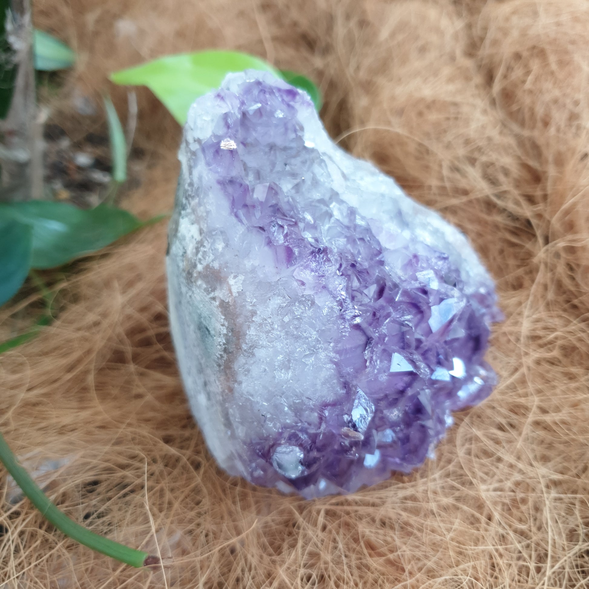 Standing amethyst - Rivendell Shop