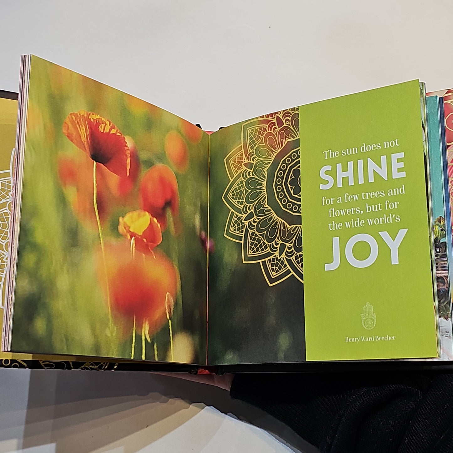 Living in joy - mindfulness book - Rivendell Shop