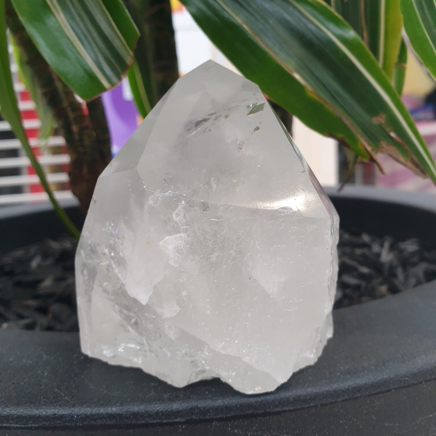 Clear Quartz Point Semi-Polished - Rivendell Shop