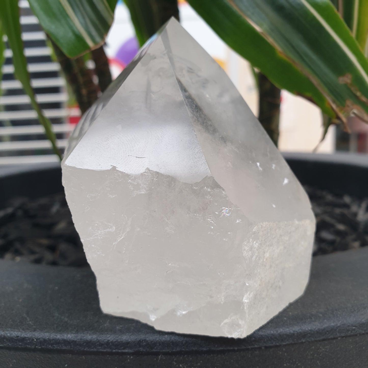 Clear Quartz Point Semi-Polished - Rivendell Shop