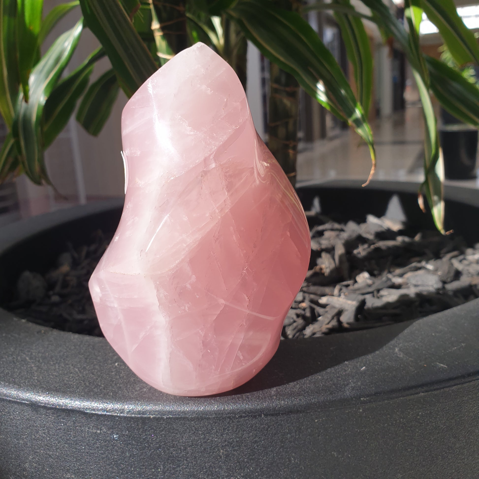 Rose Quartz Flame - Rivendell Shop