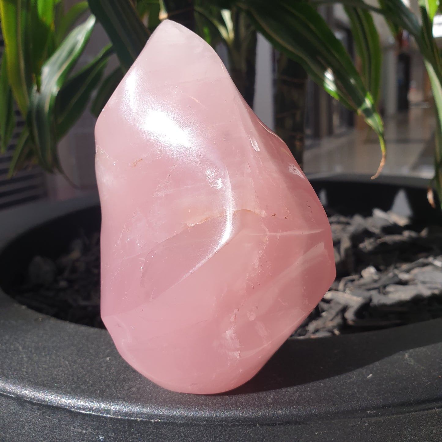 Rose Quartz Flame - Rivendell Shop