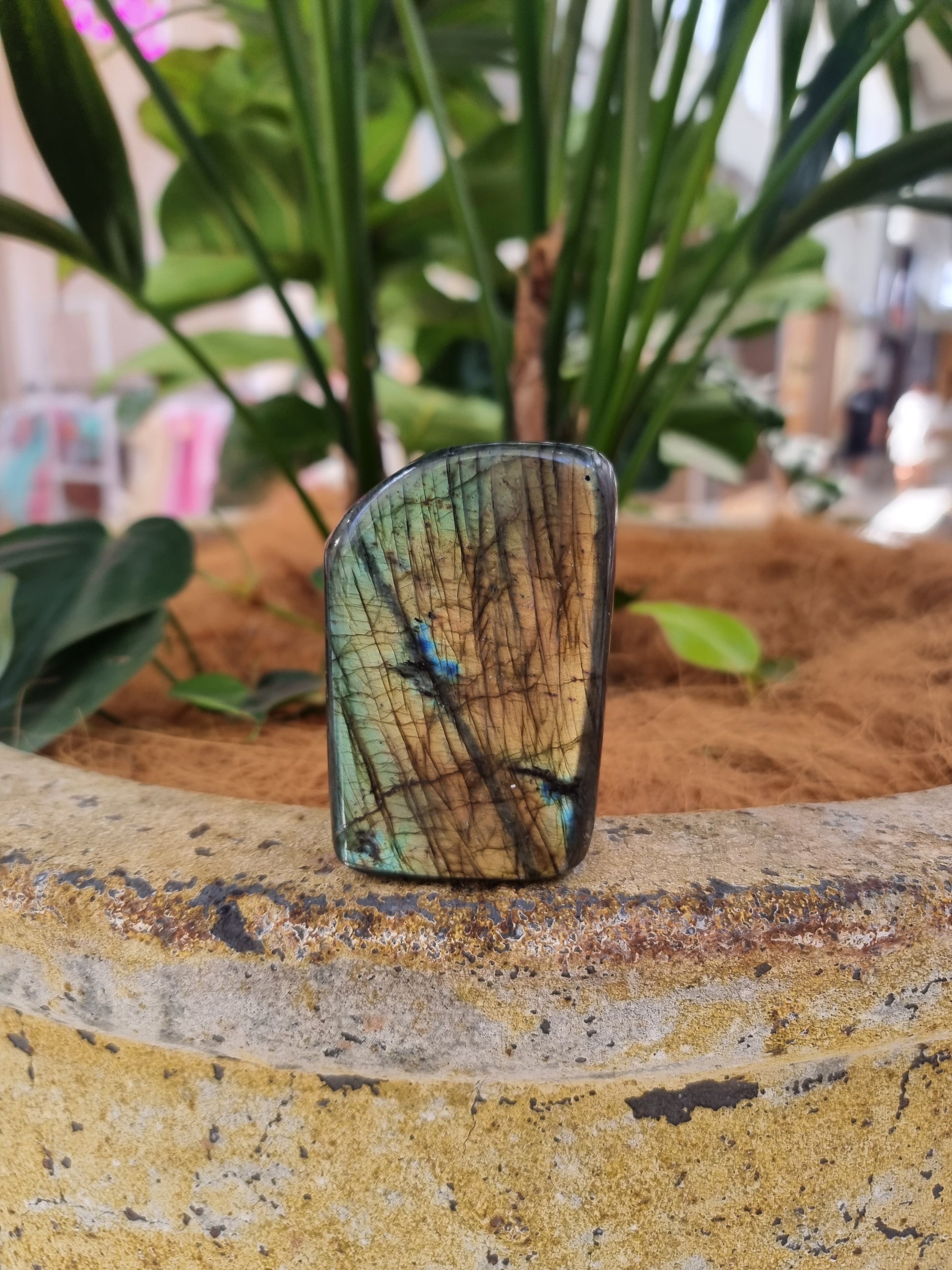 Labradorite freeform - Rivendell Shop