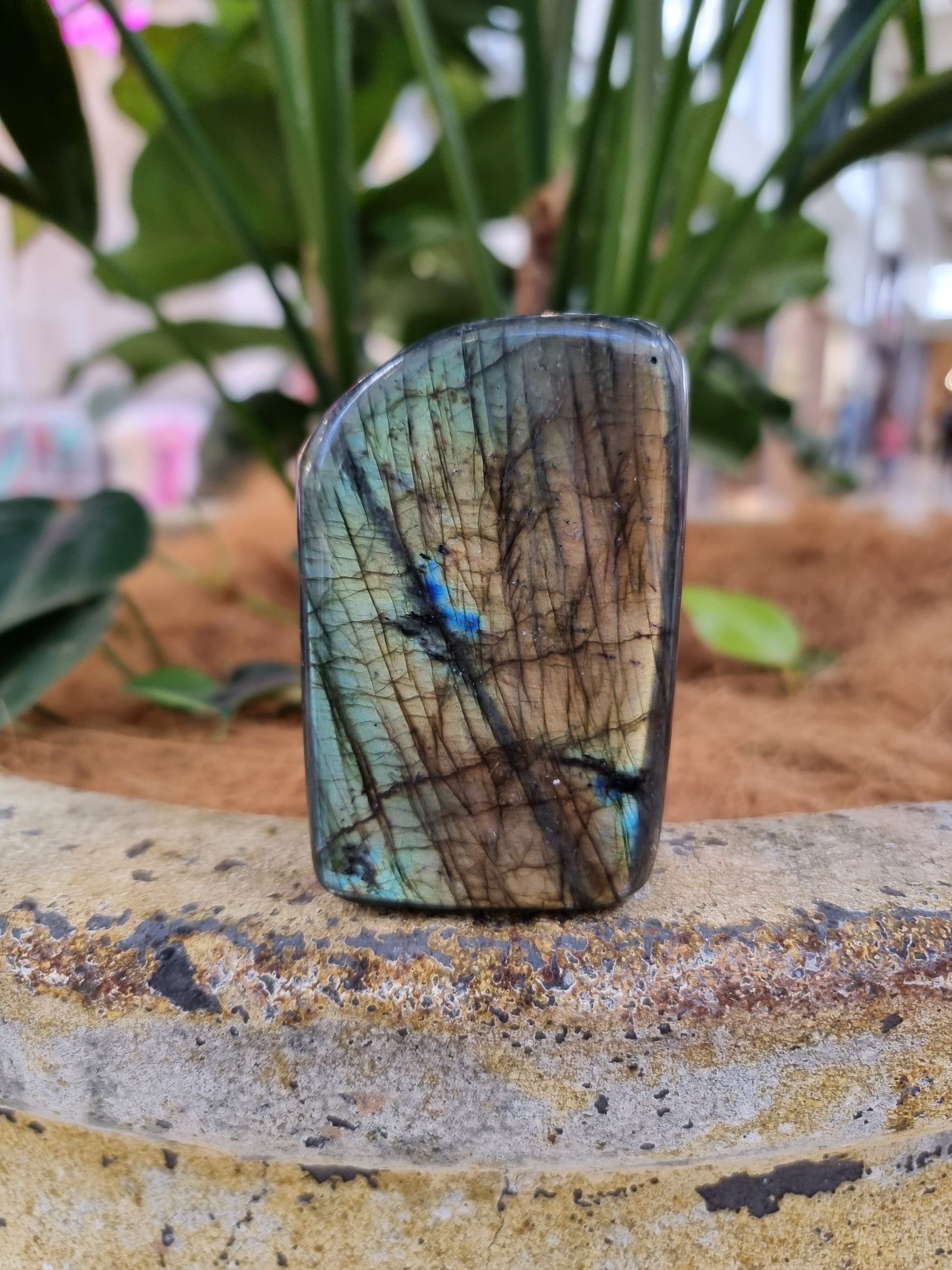 Labradorite freeform - Rivendell Shop